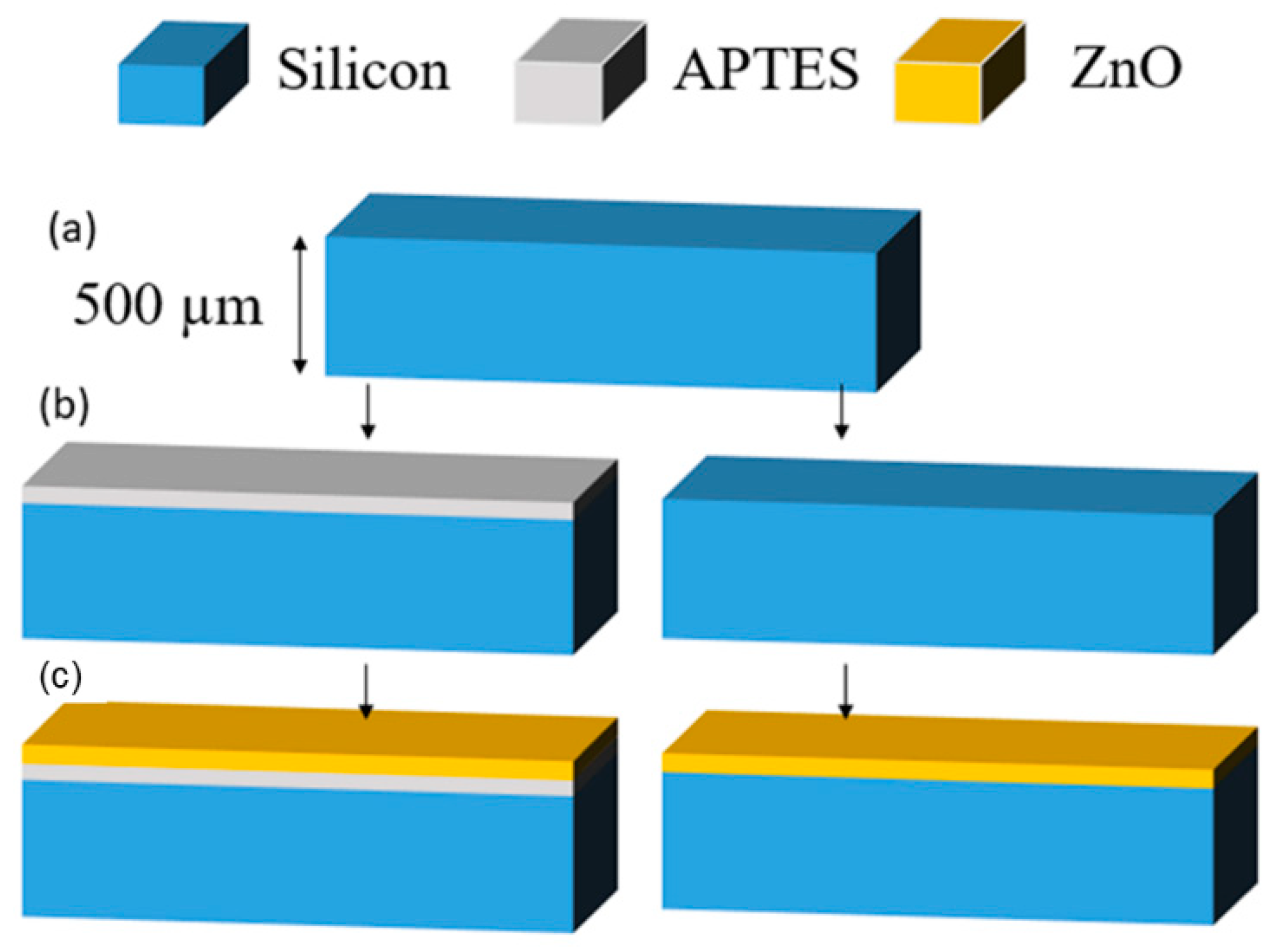 Chemosensors 09 00005 g003