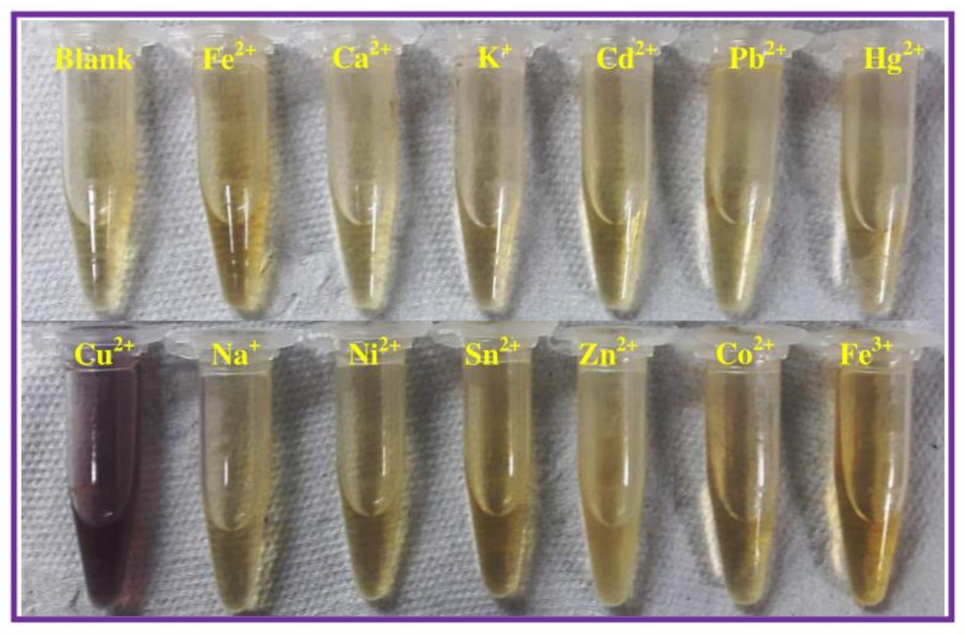 Chemosensors 09 00007 g004