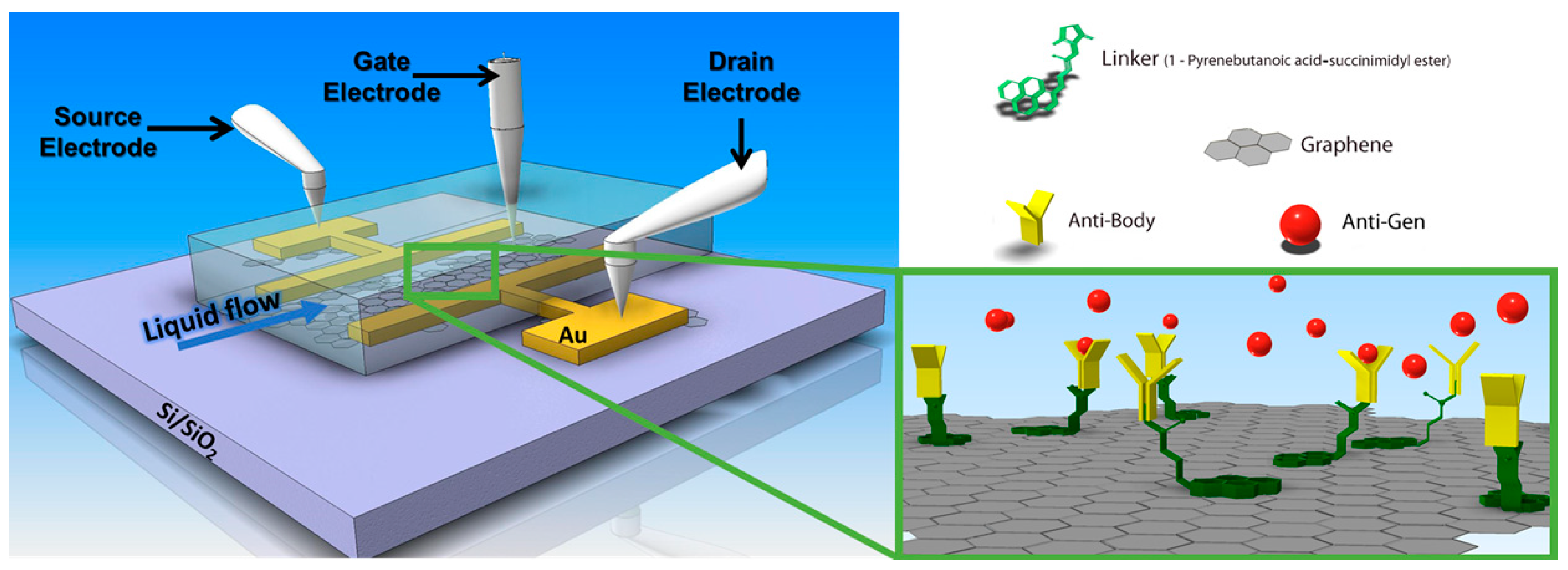 Chemosensors 09 00011 g008 Chemosensors 09 00011 g008