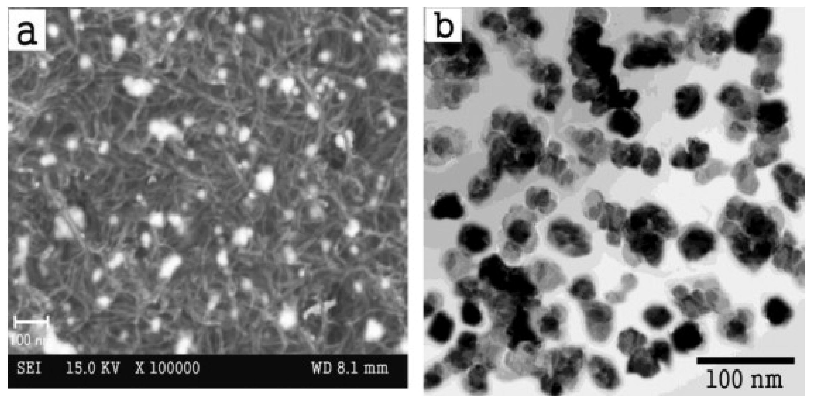 Chemosensors 09 00014 g004 Chemosensors 09 00014 g004