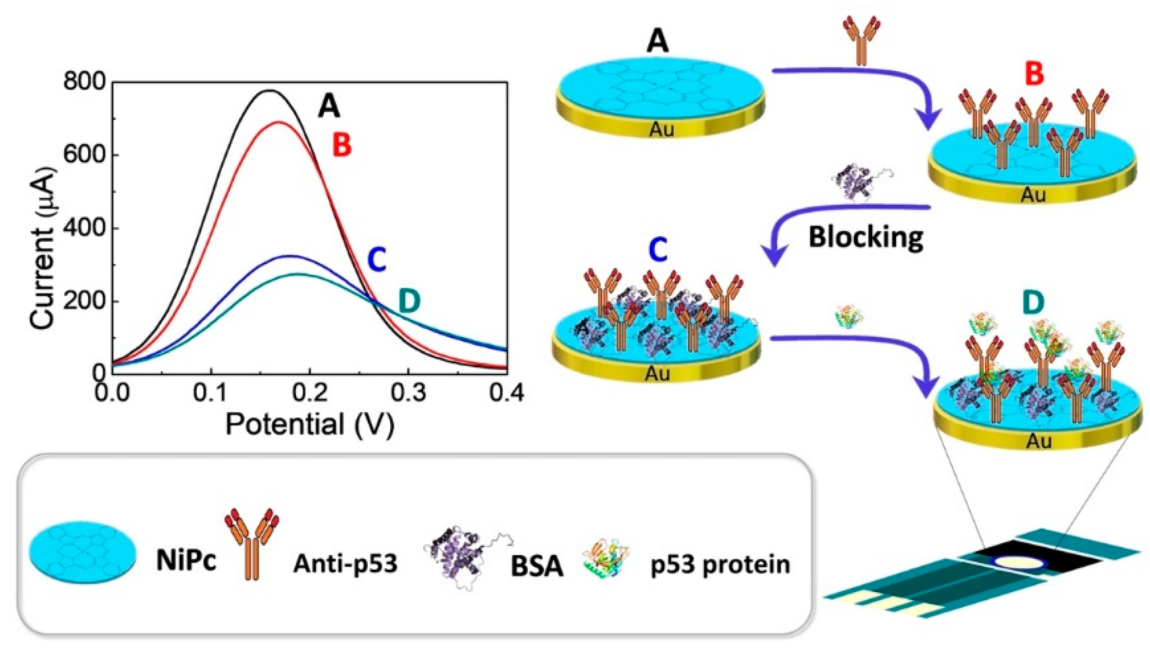 Chemosensors 09 00017 g001 Chemosensors 09 00017 g001