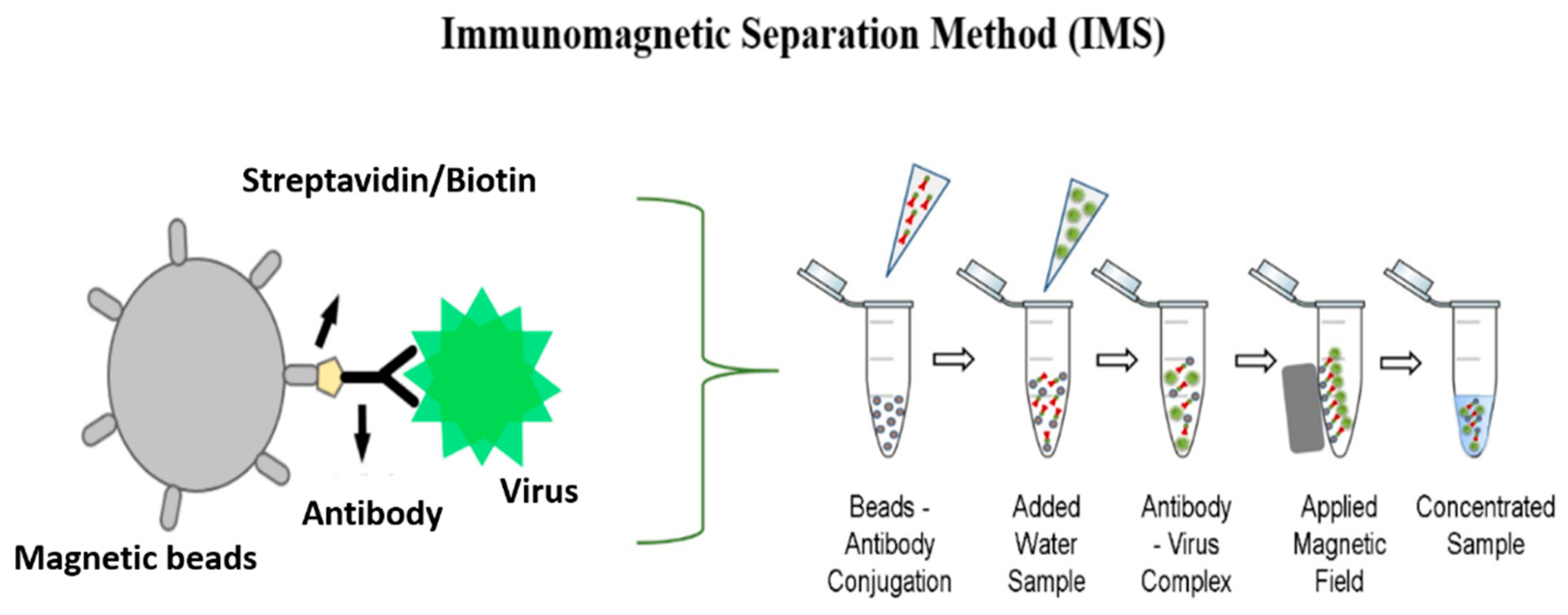 Chemosensors 09 00019 g001
