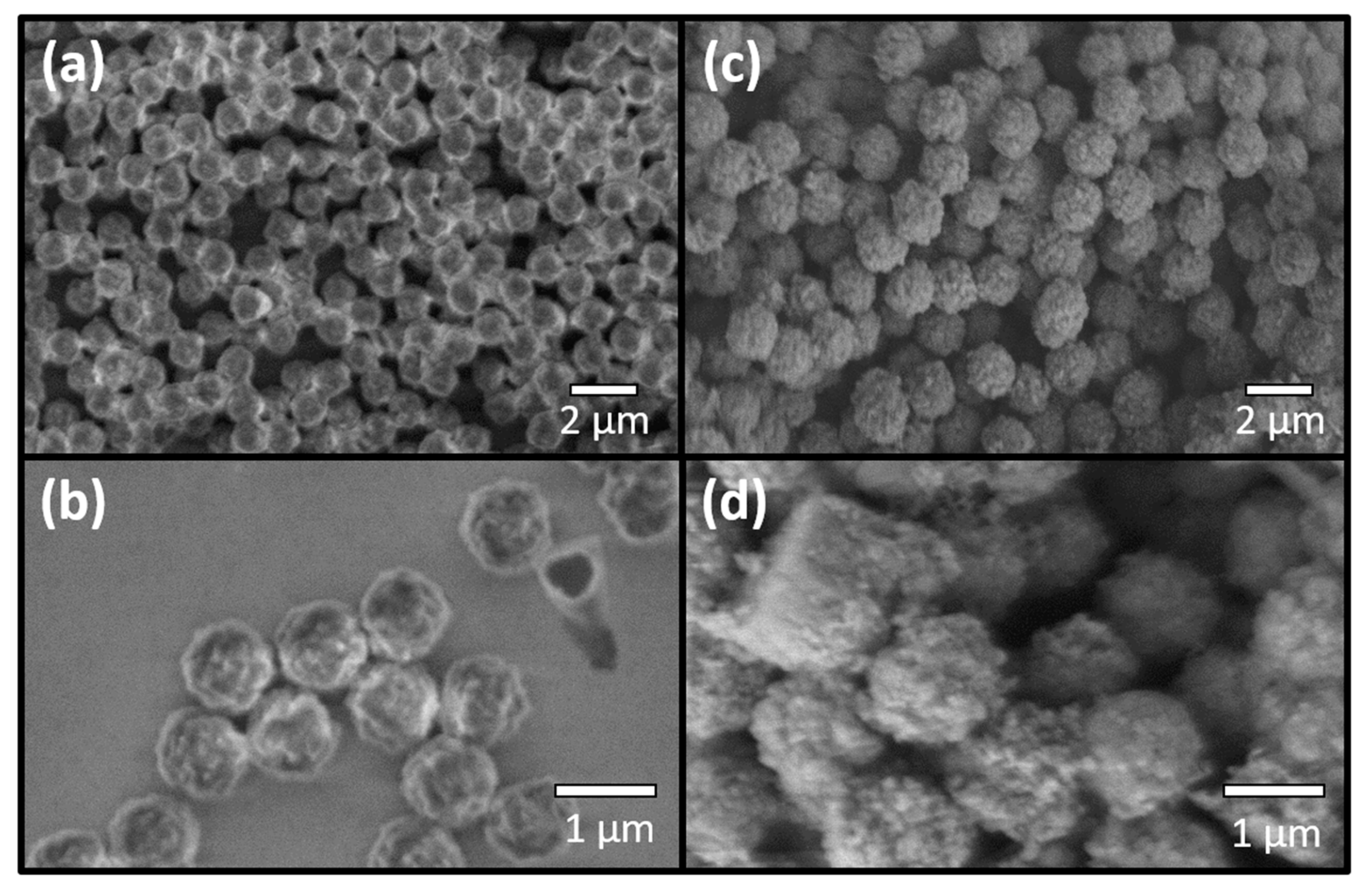 Chemosensors 09 00019 g002