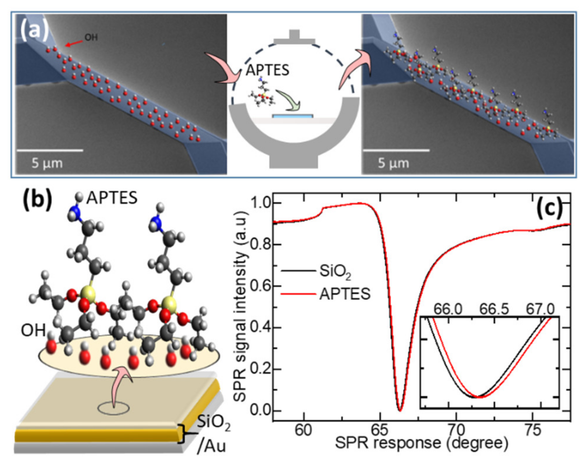 Chemosensors 09 00020 g002