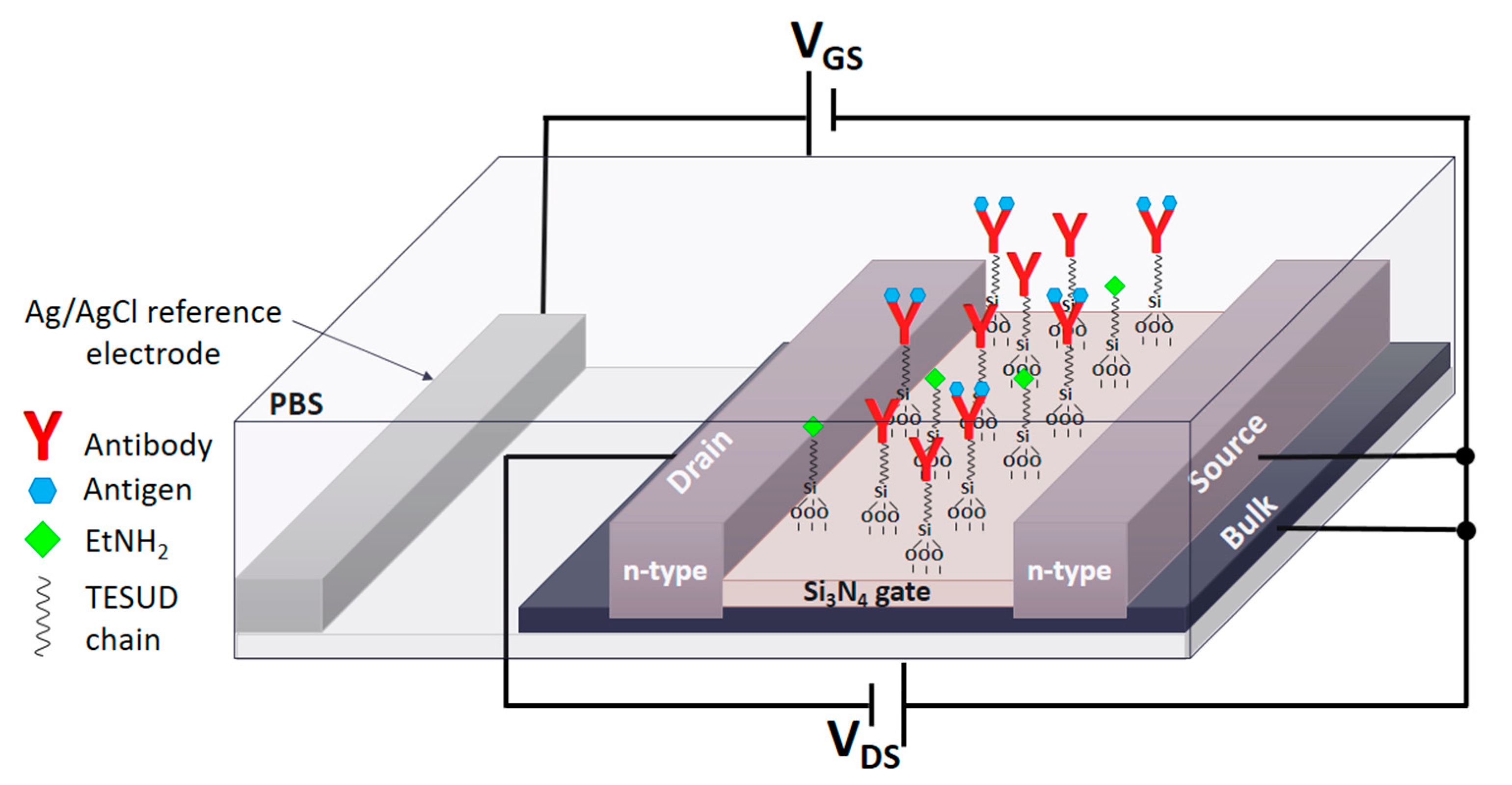 Chemosensors 09 00026 g003