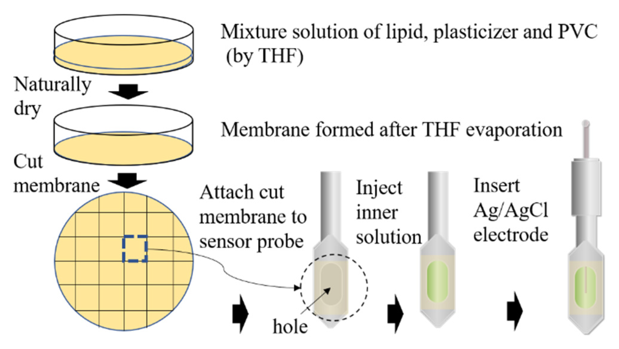 Chemosensors 09 00028 g002