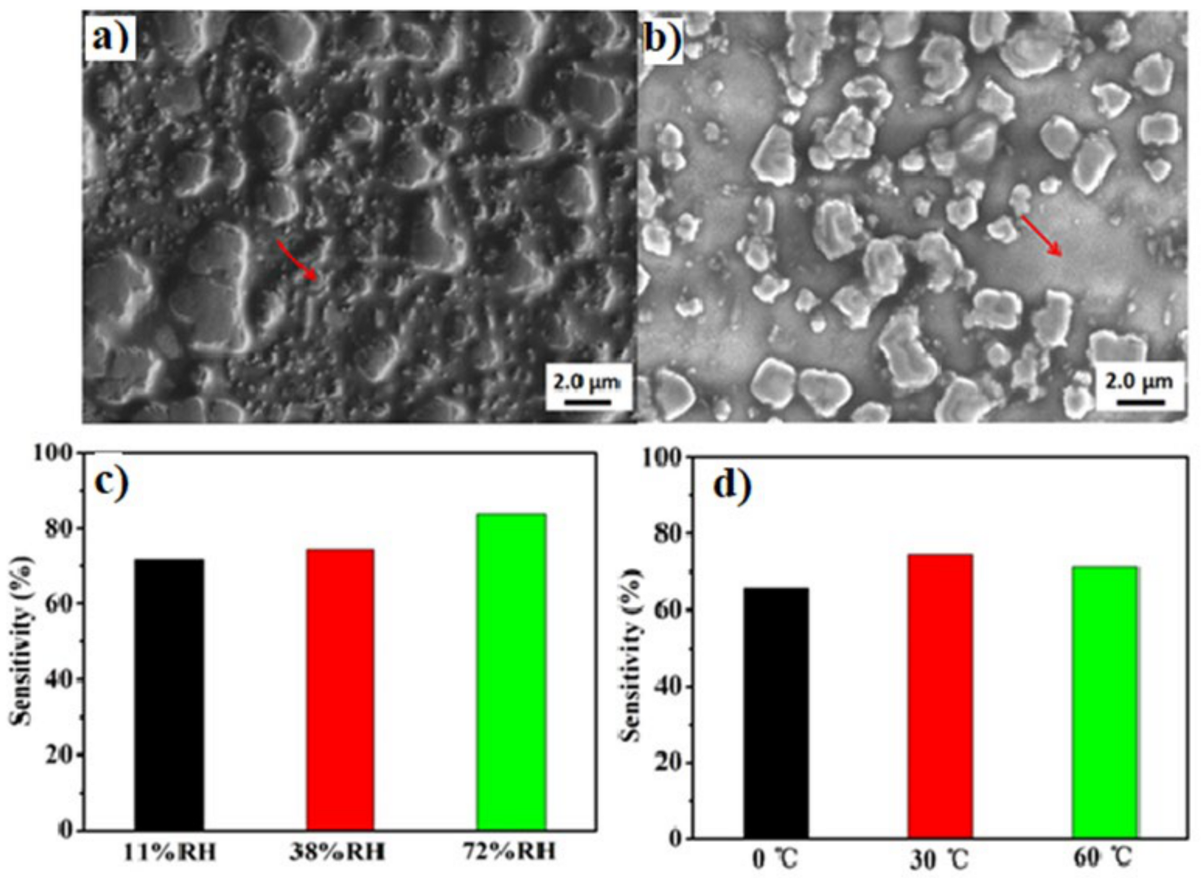 Chemosensors 09 00030 g005