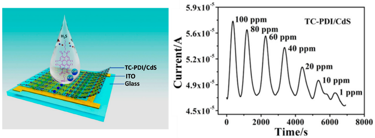 Chemosensors 09 00030 g015
