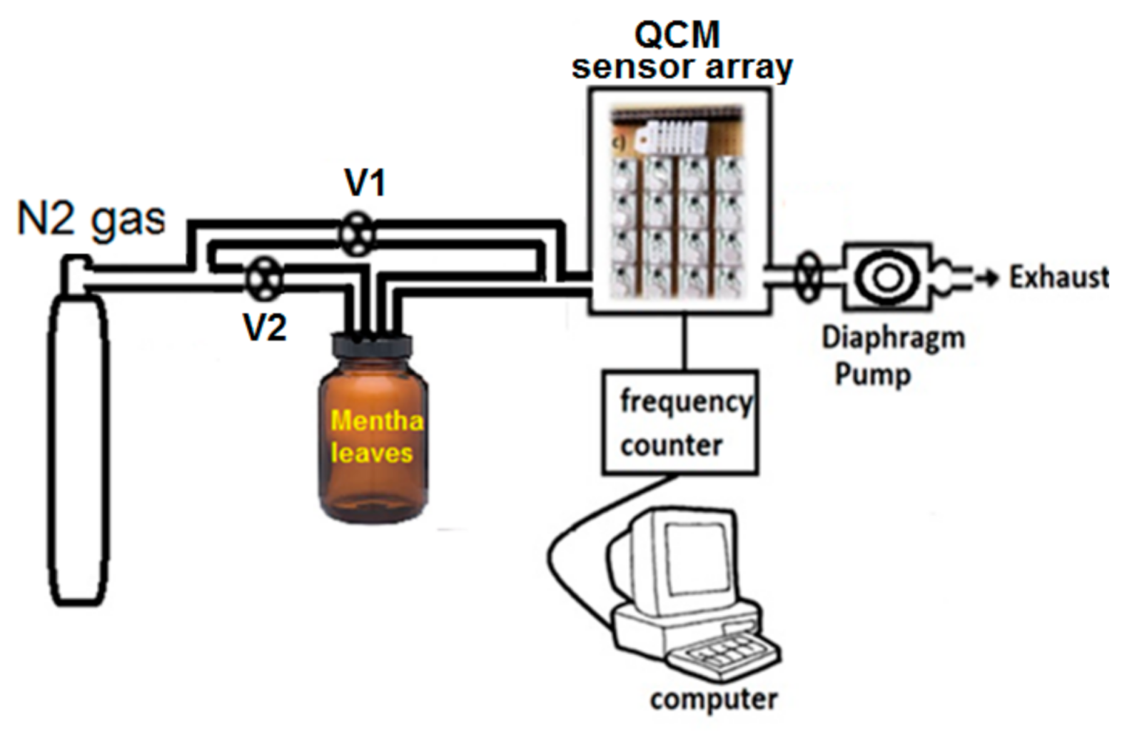 Chemosensors 09 00031 g001 Chemosensors 09 00031 g001