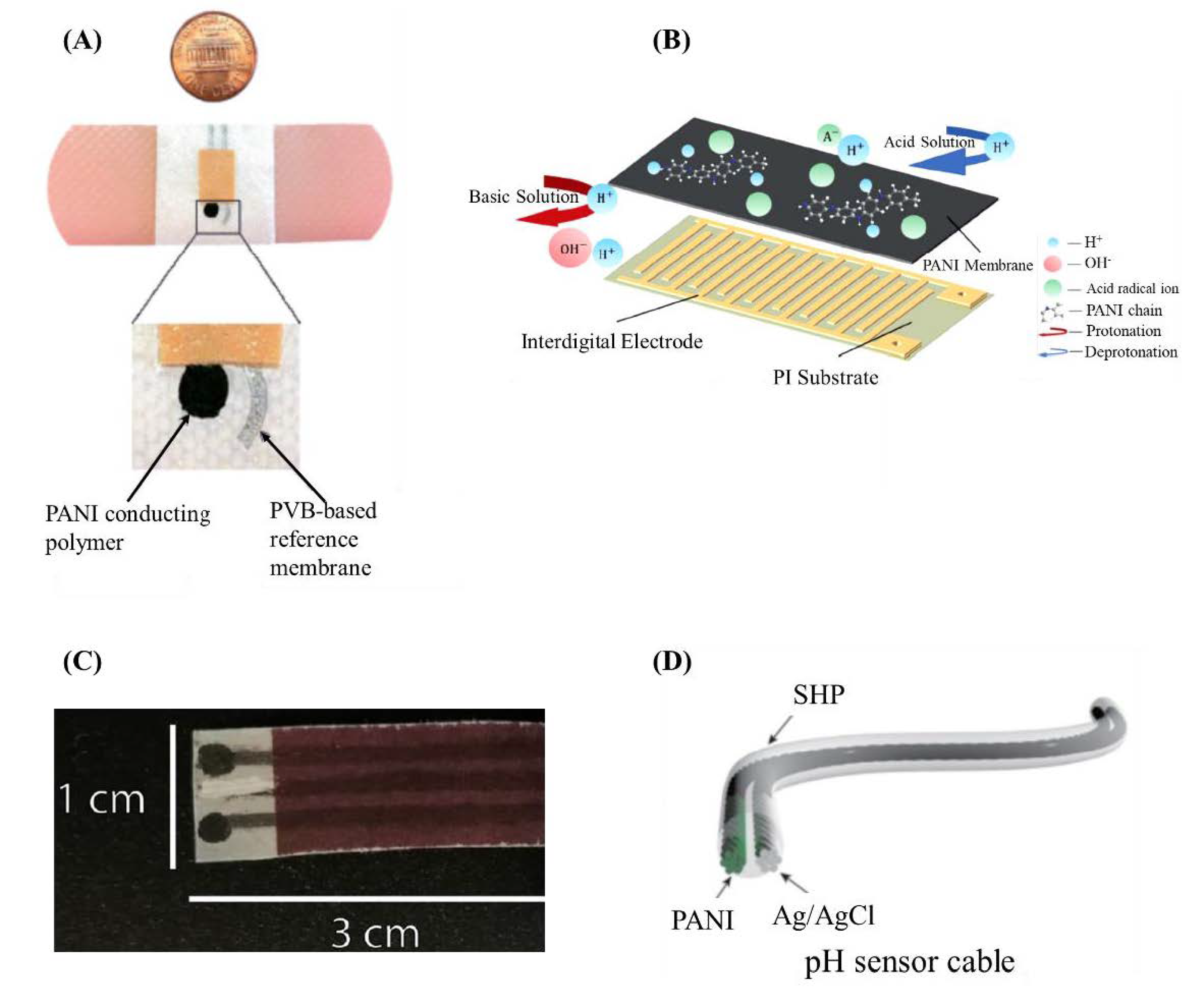 Chemosensors 09 00033 g003