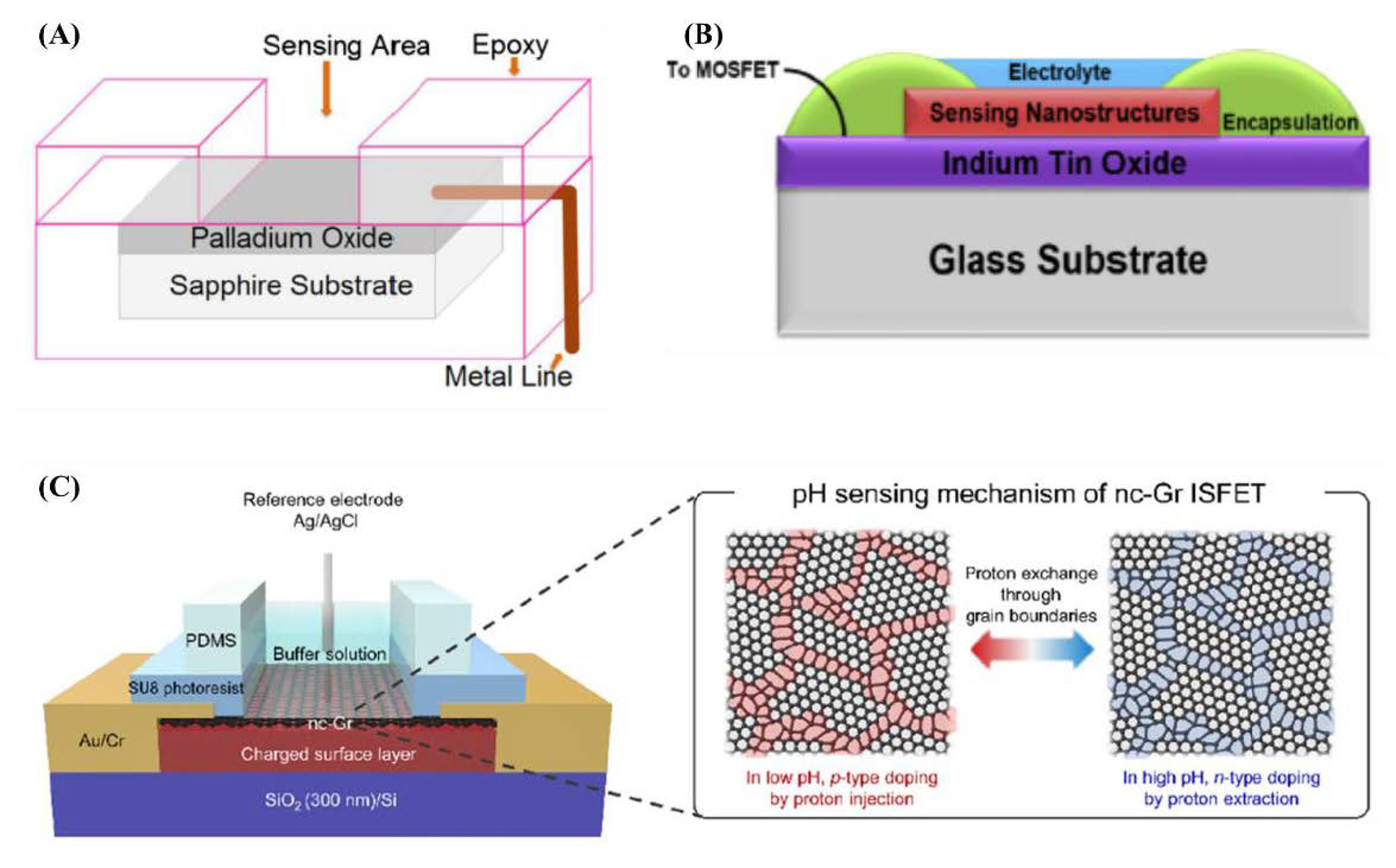 Chemosensors 09 00033 g005