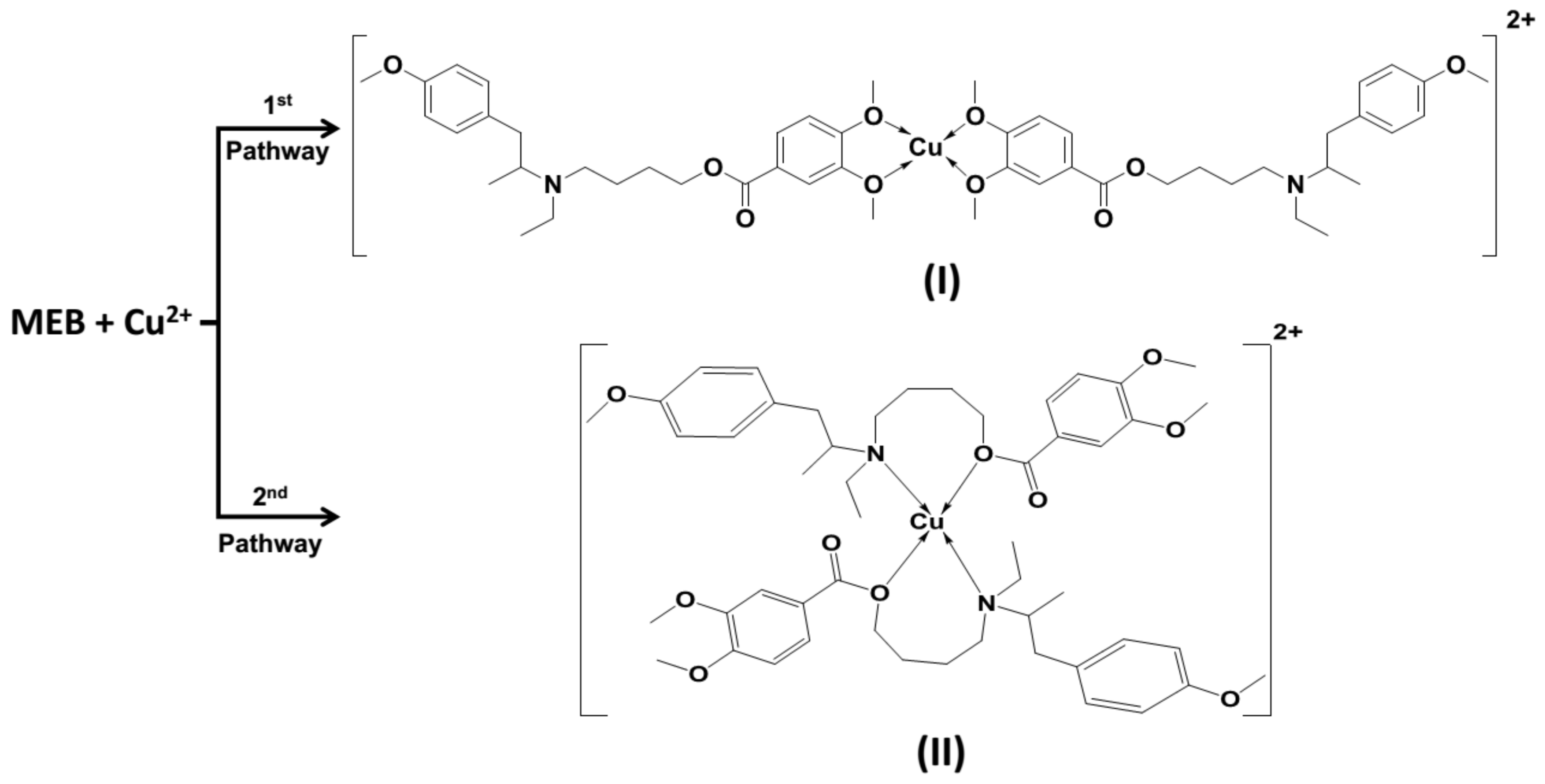 Chemosensors 09 00035 sch002