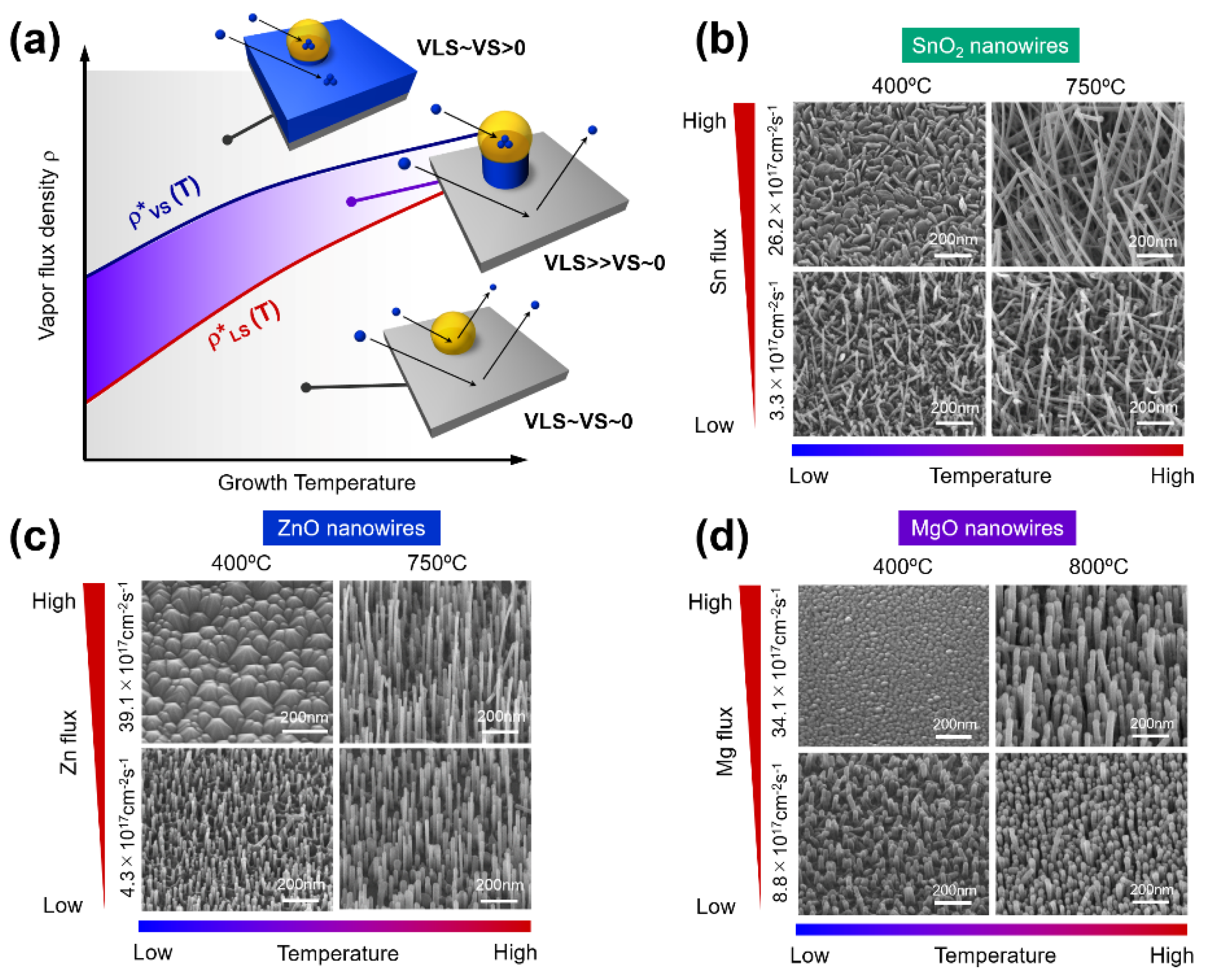 Chemosensors 09 00041 g003