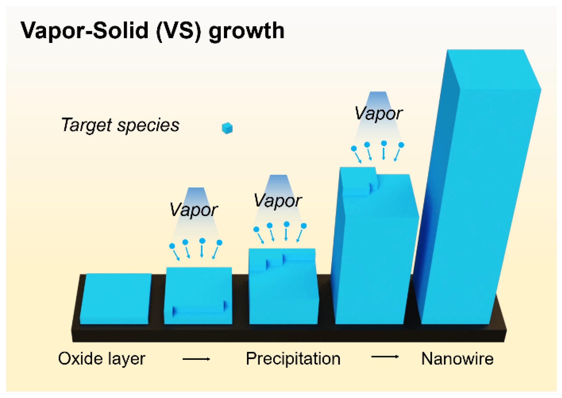 Chemosensors 09 00041 g004