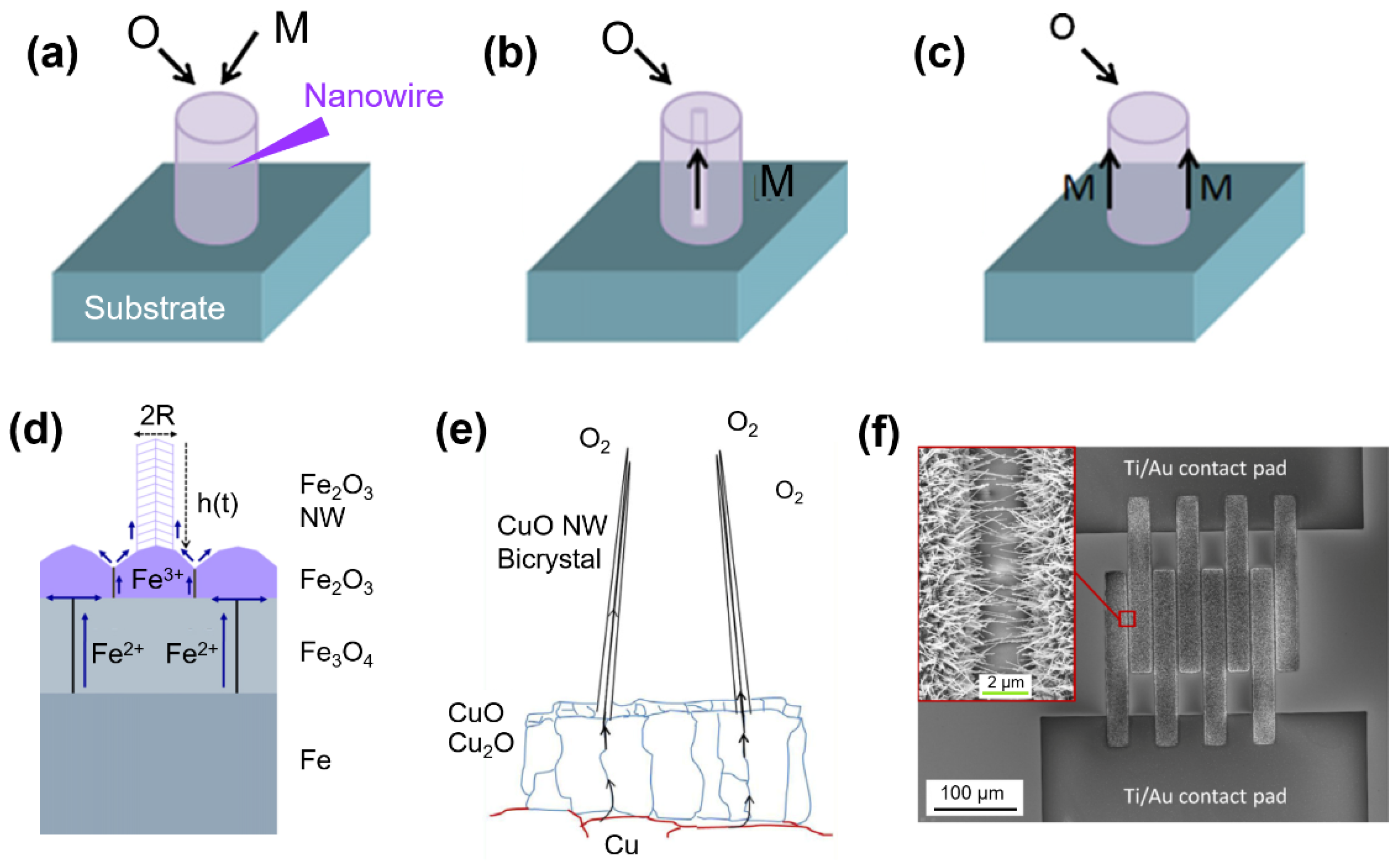Chemosensors 09 00041 g007