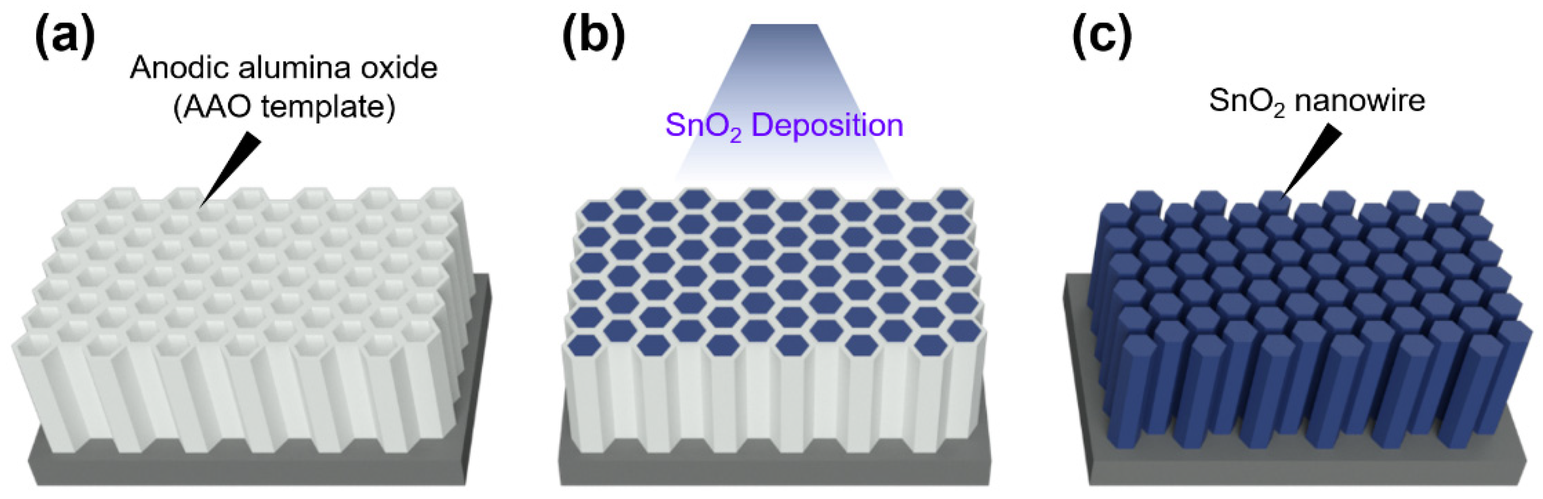Chemosensors 09 00041 g008