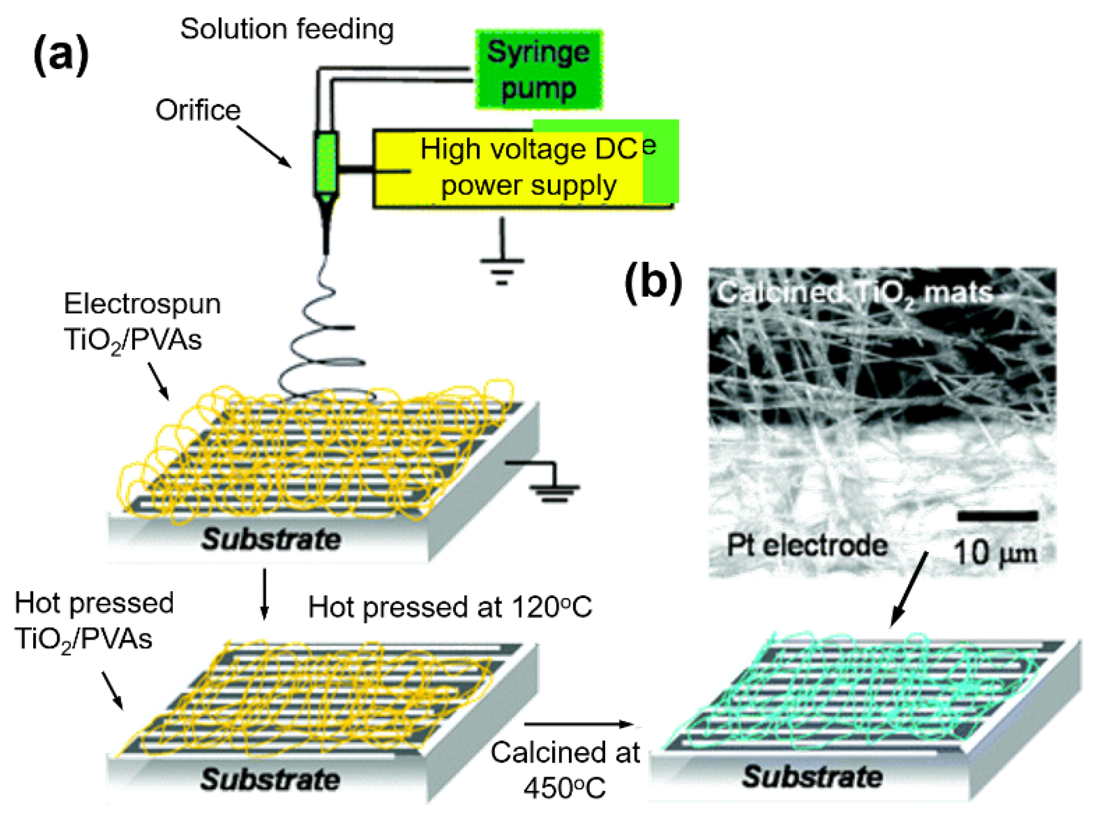 Chemosensors 09 00041 g010