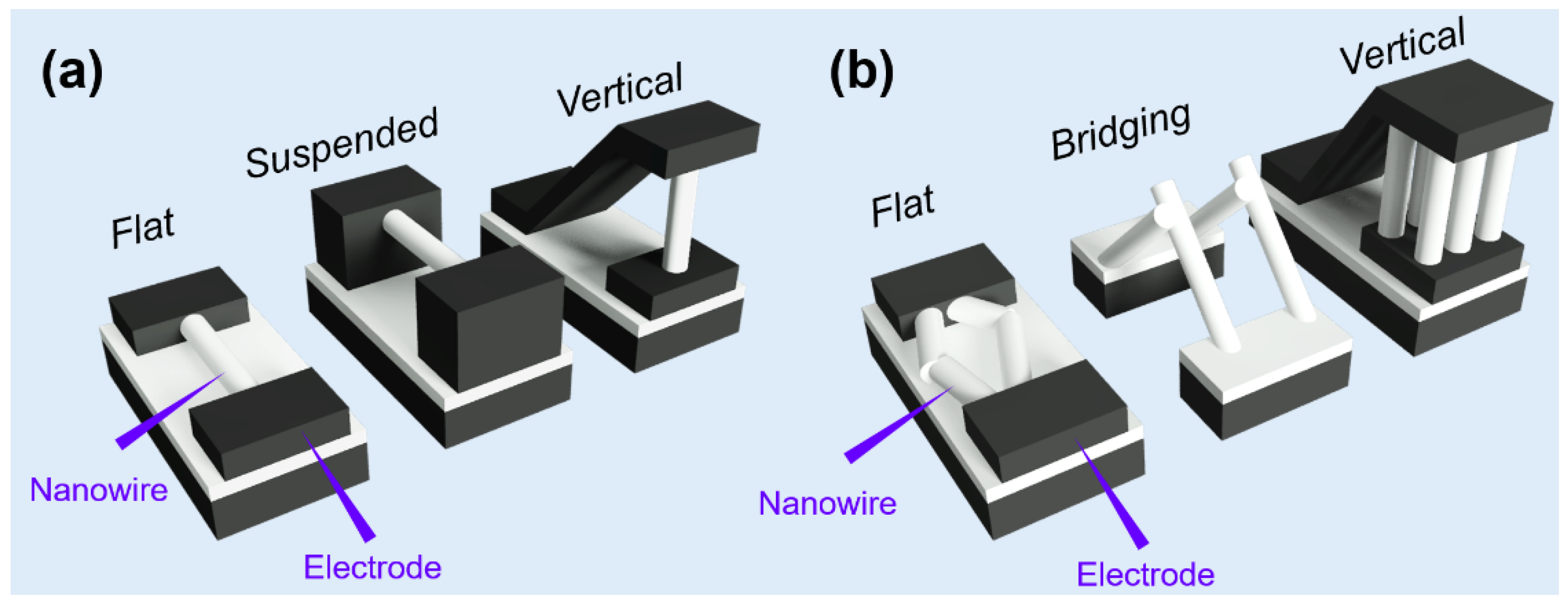 Chemosensors 09 00041 g011