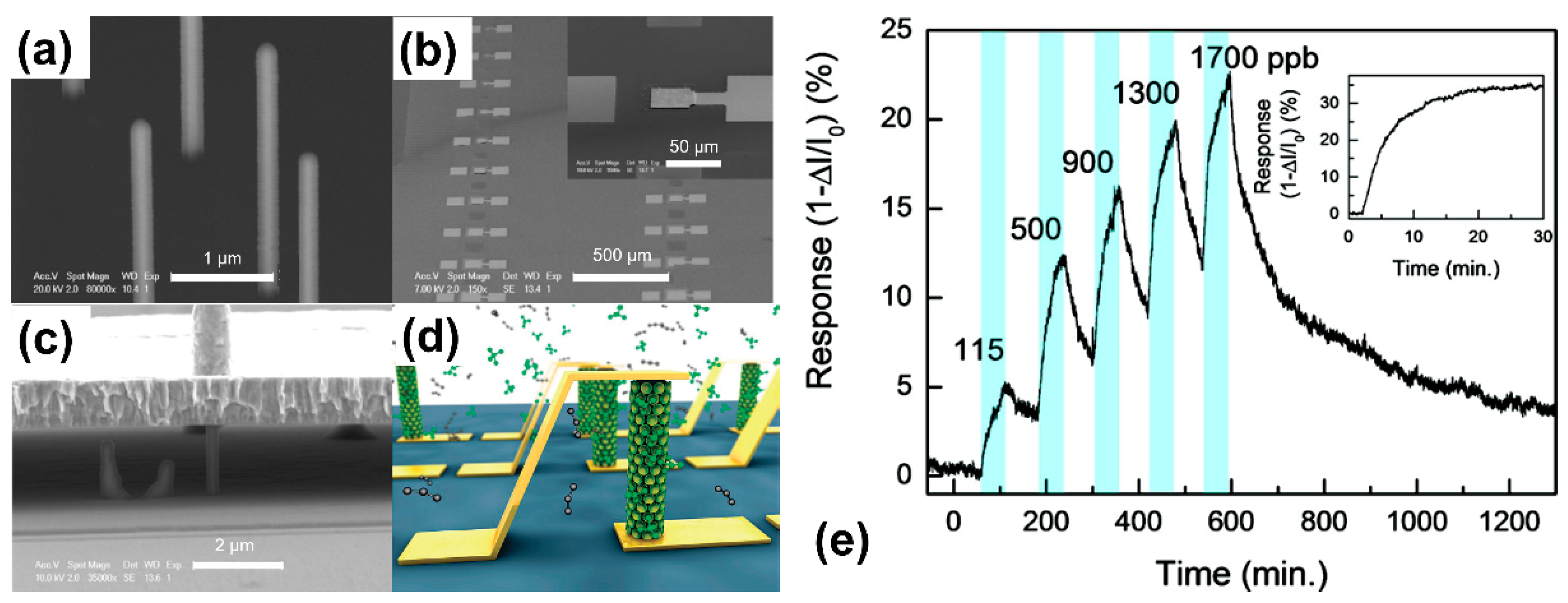 Chemosensors 09 00041 g014