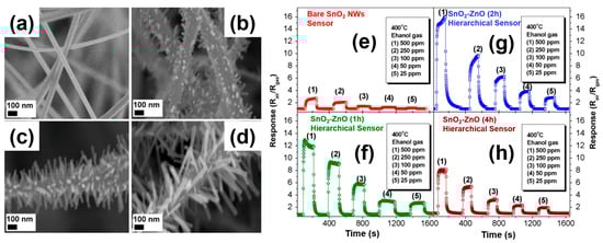 Chemosensors 09 00041 g019