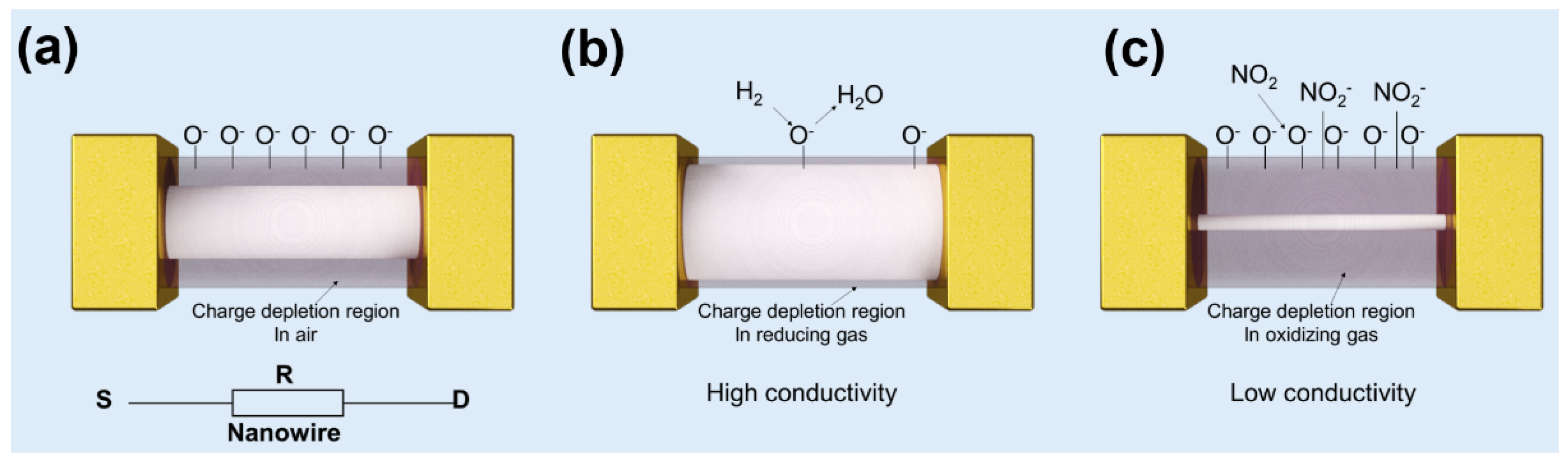 Chemosensors 09 00041 g022