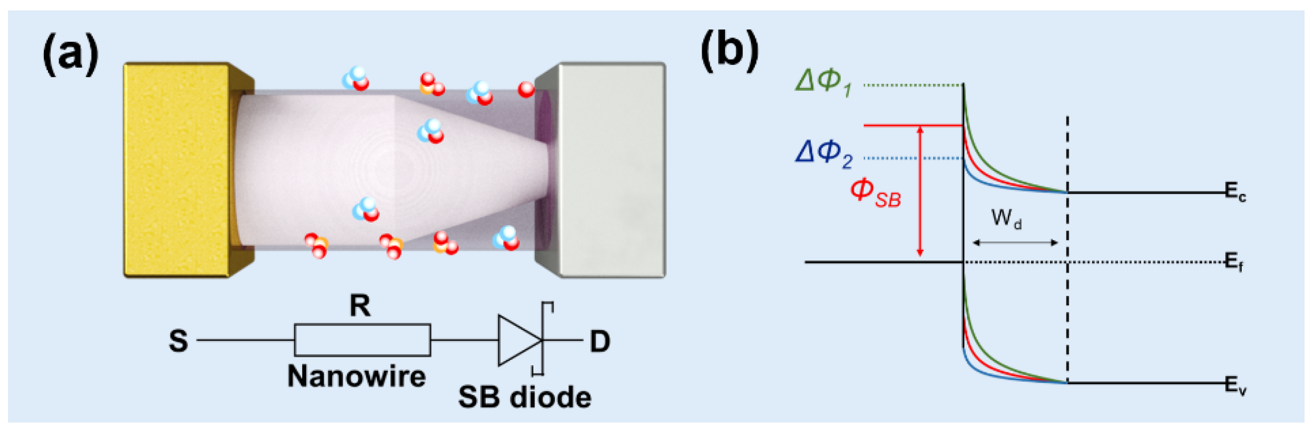 Chemosensors 09 00041 g023