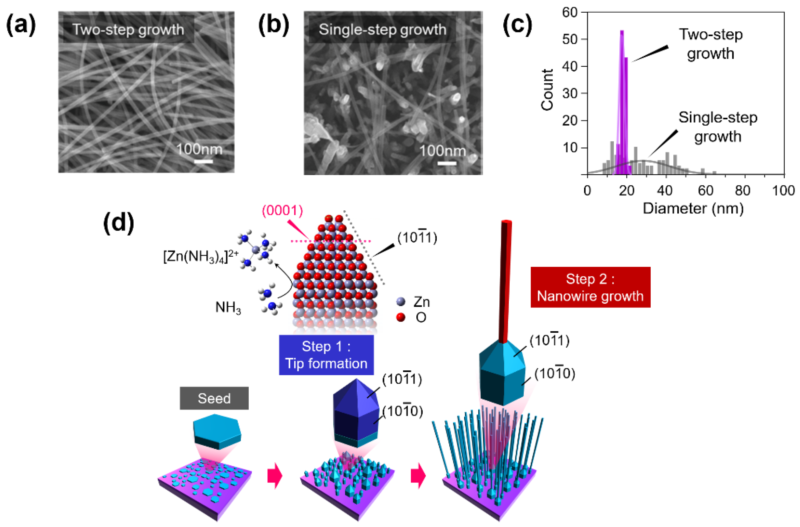 Chemosensors 09 00041 g025