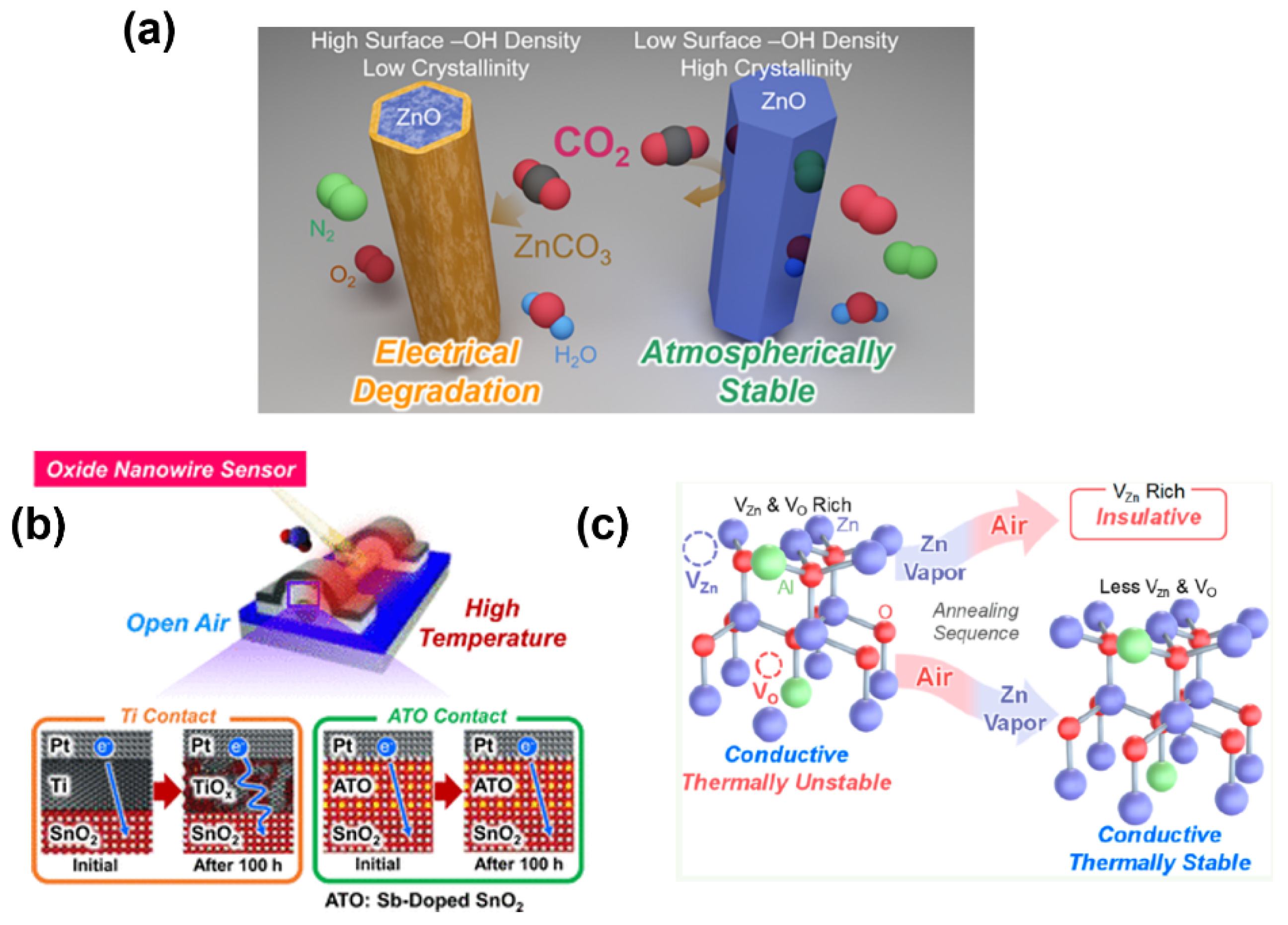 Chemosensors 09 00041 g027