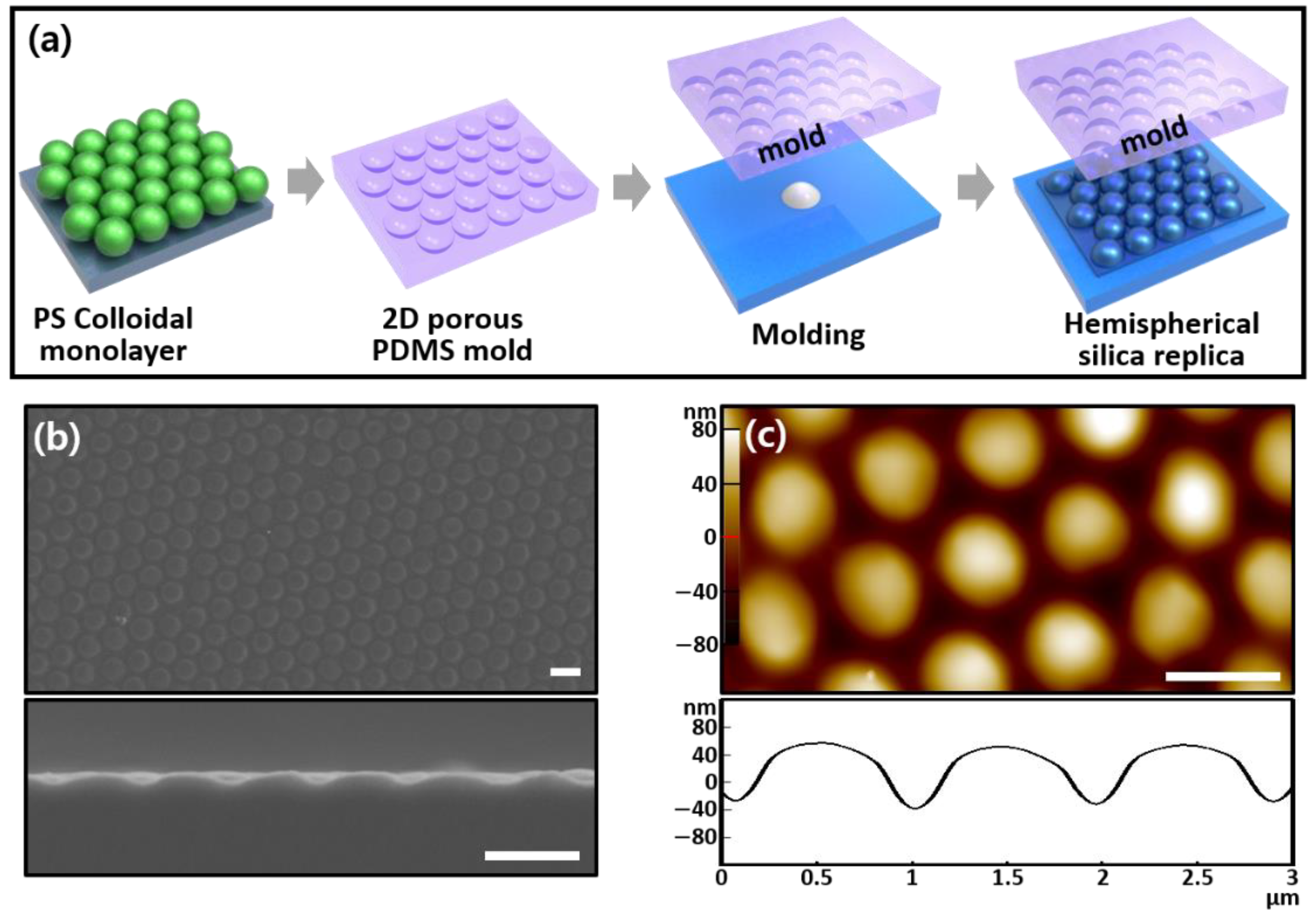 Chemosensors 09 00043 g002