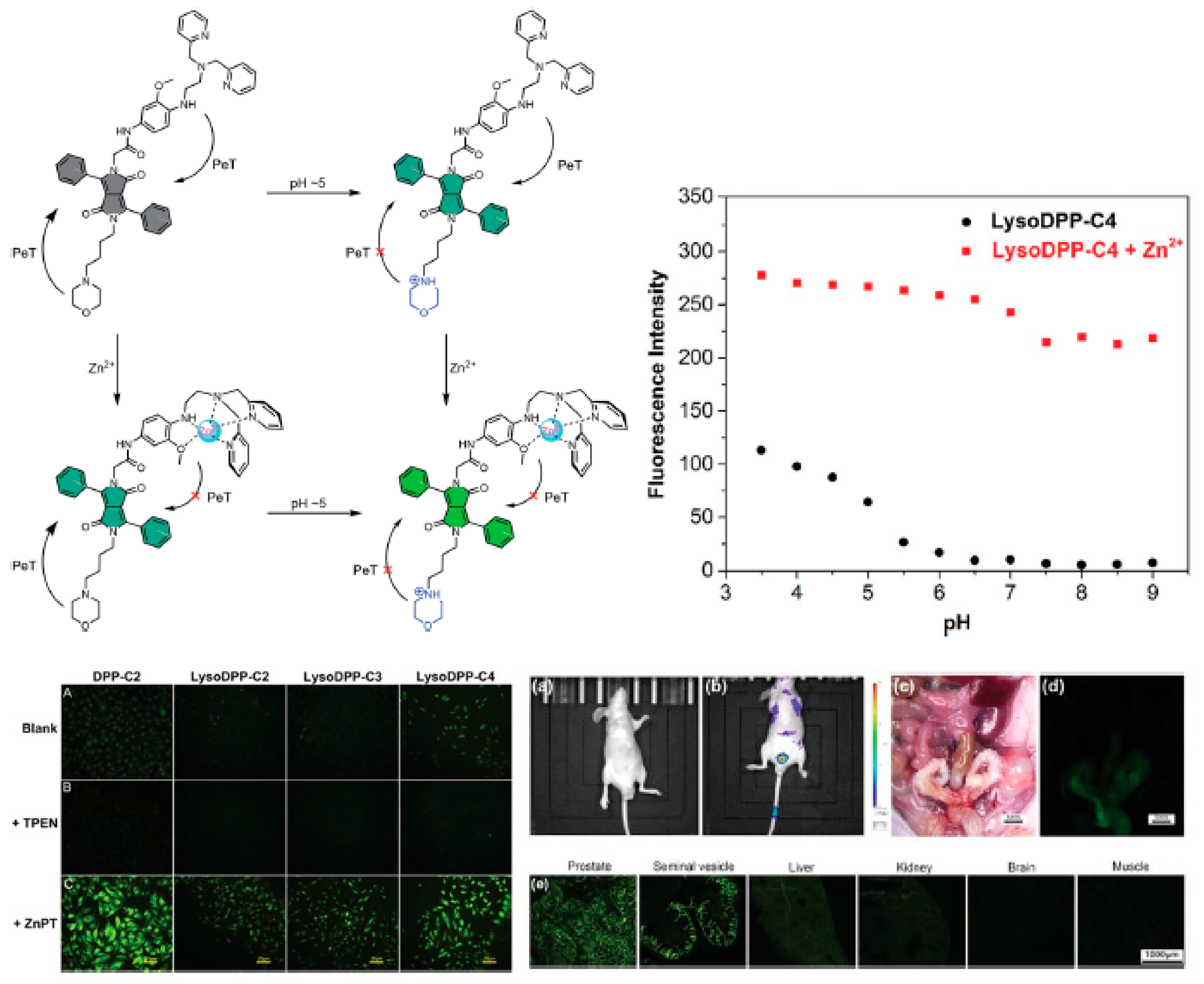 Chemosensors 09 00044 g016 Chemosensors 09 00044 g016