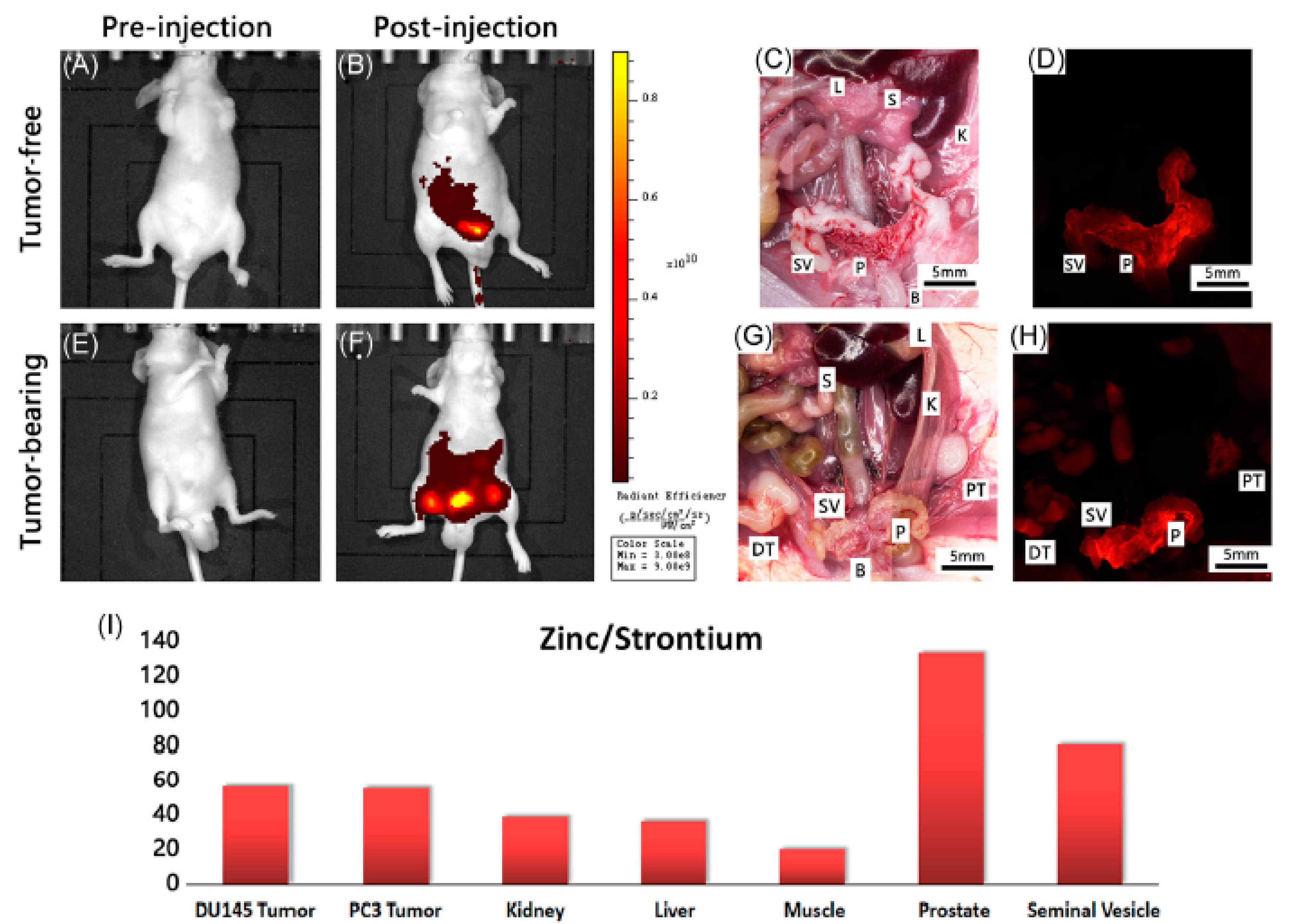 Chemosensors 09 00044 g017b Chemosensors 09 00044 g017b