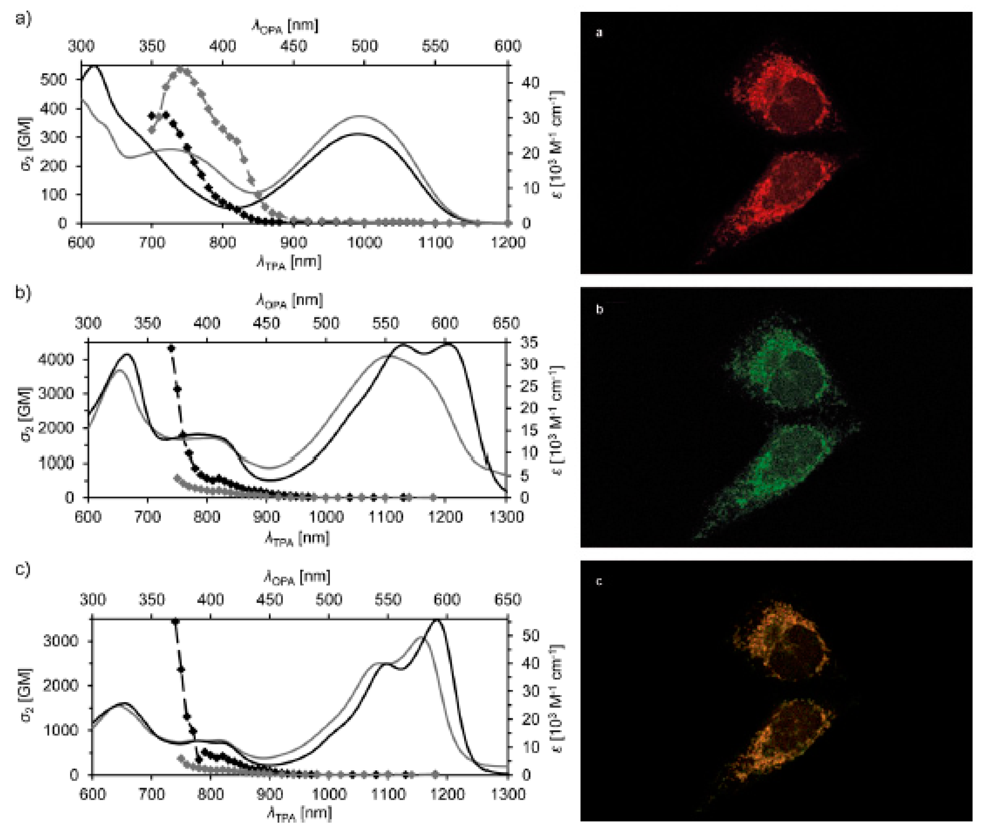 Chemosensors 09 00044 g018a Chemosensors 09 00044 g018a