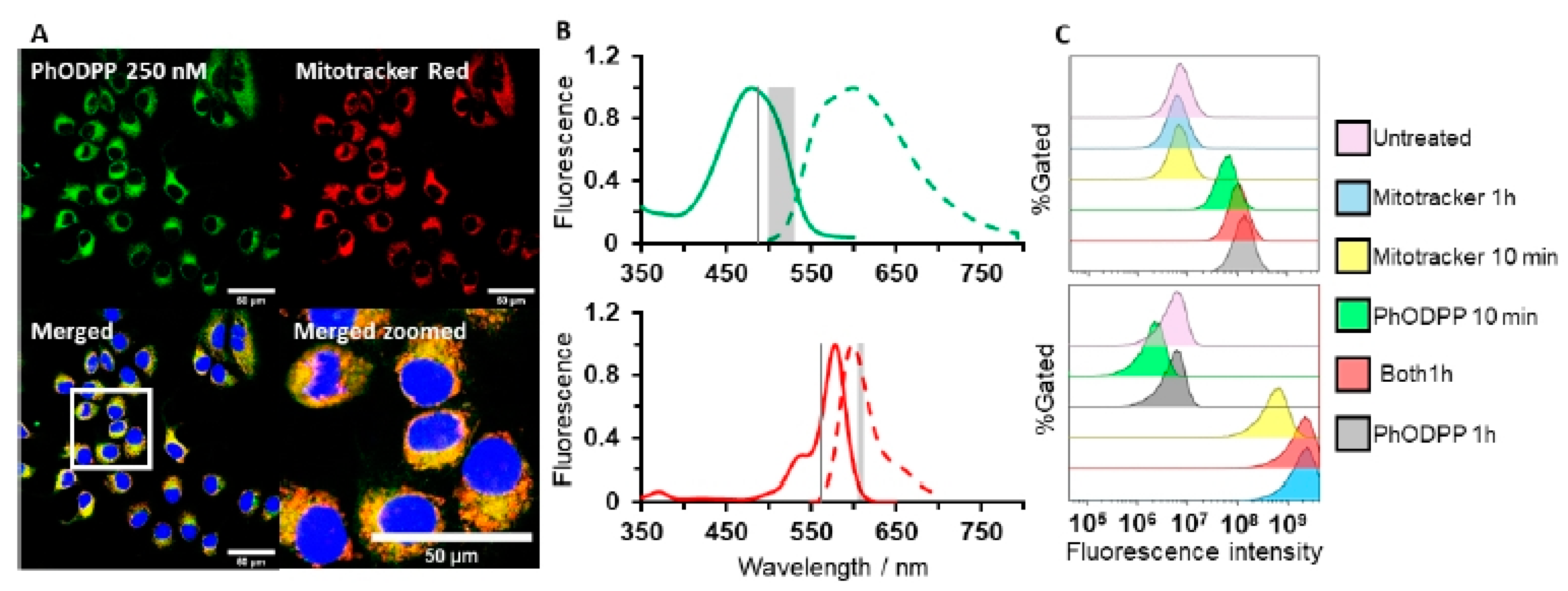 Chemosensors 09 00044 g018b Chemosensors 09 00044 g018b