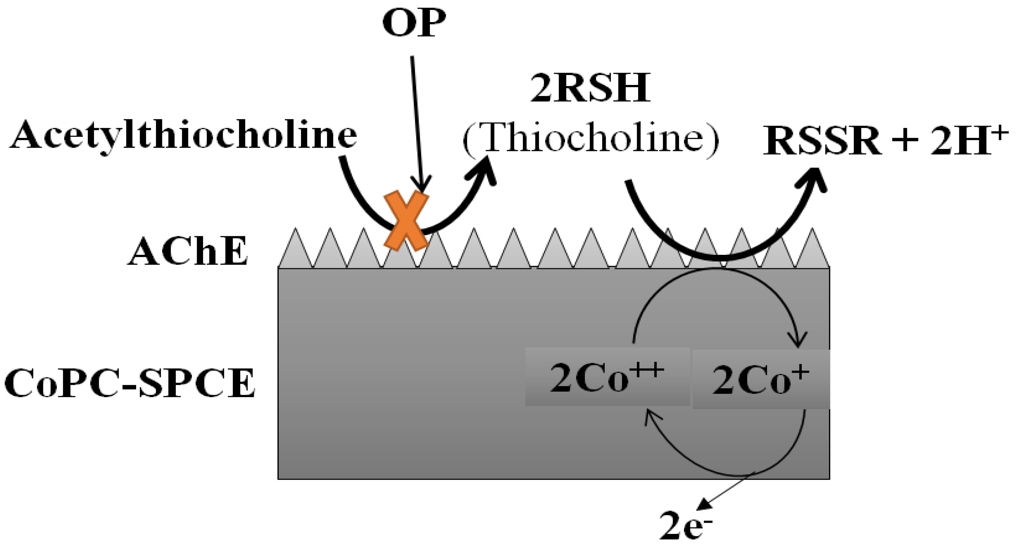 Chemosensors 09 00050 g007