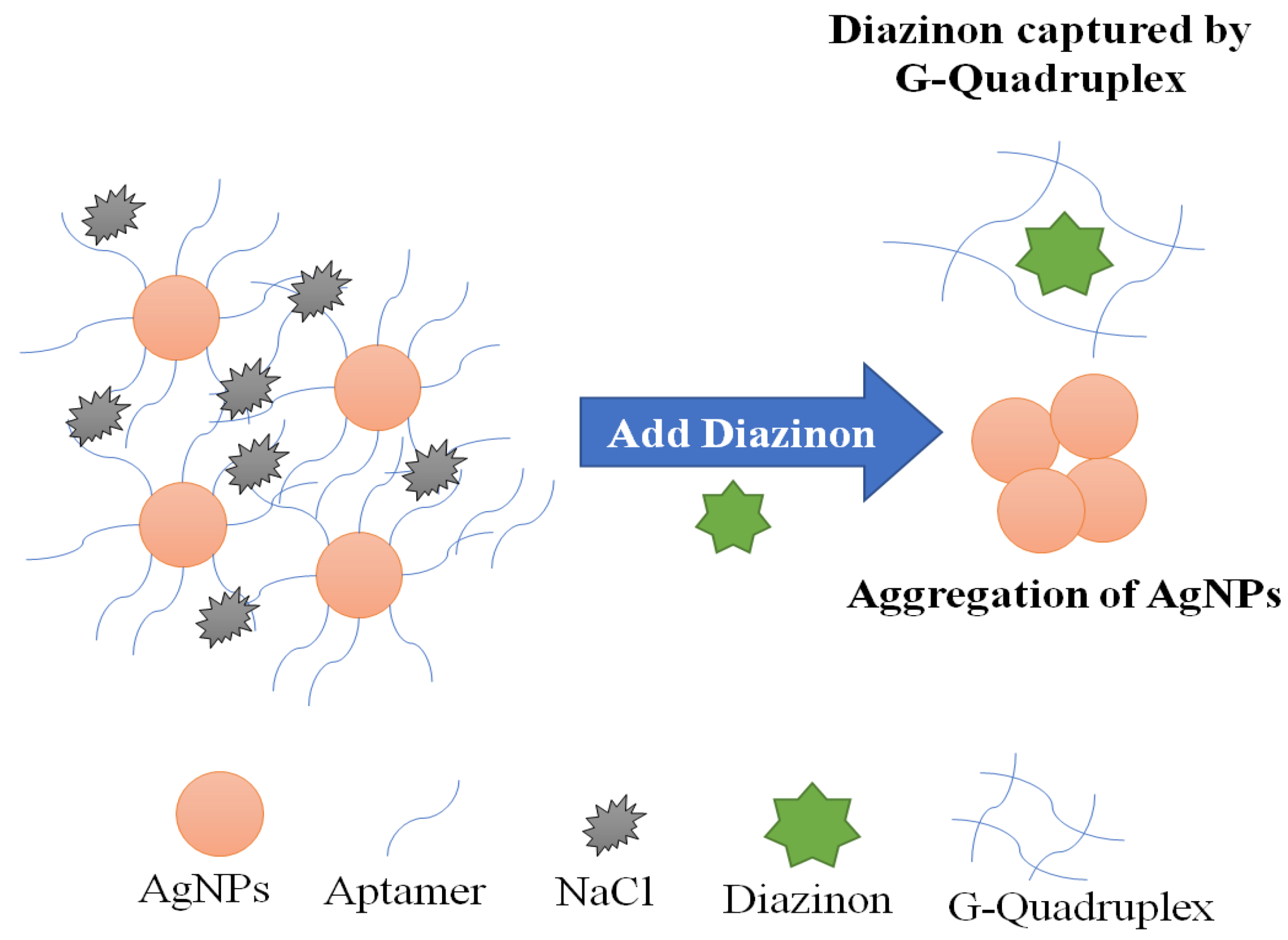 Chemosensors 09 00050 g008