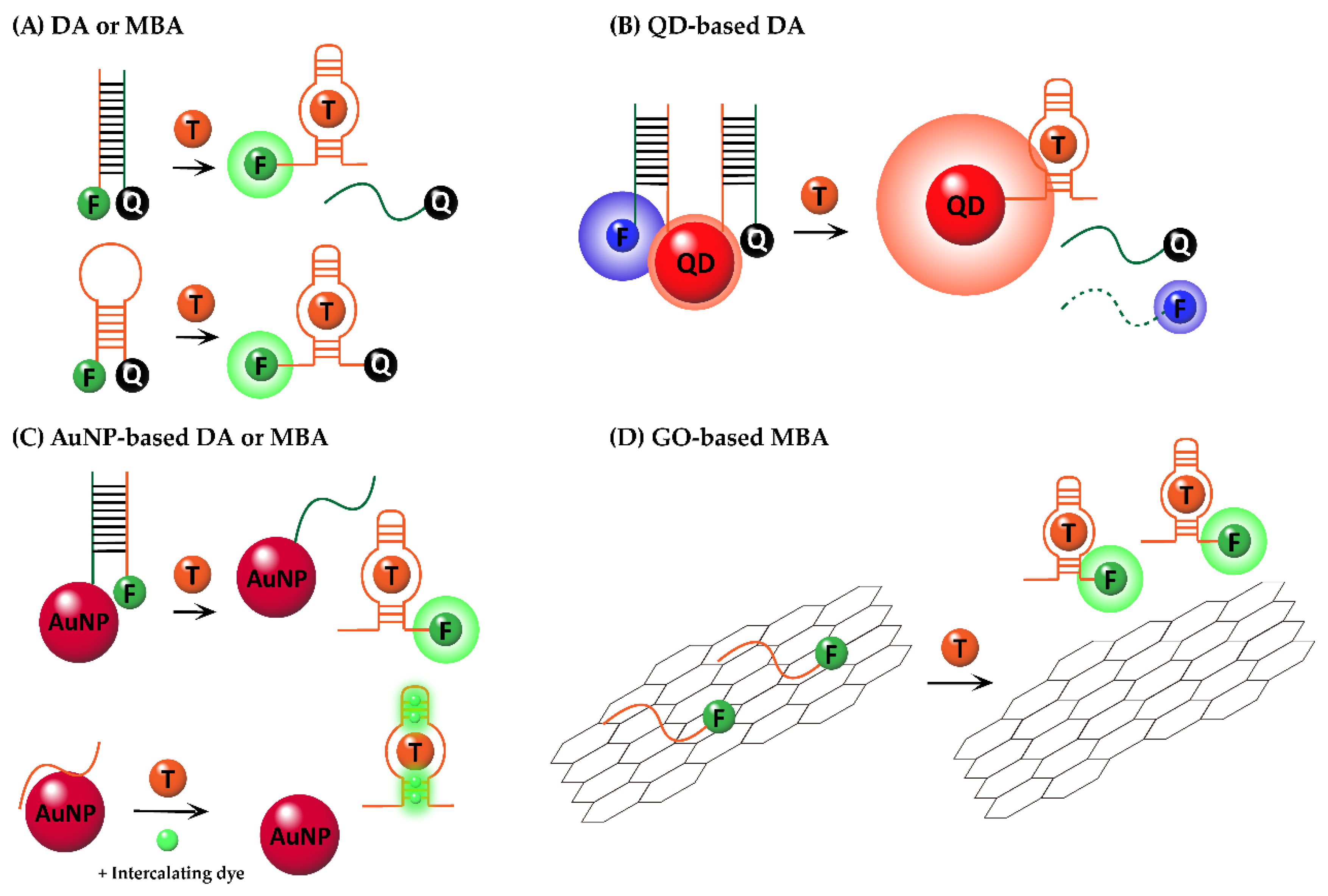 Chemosensors 09 00054 g001