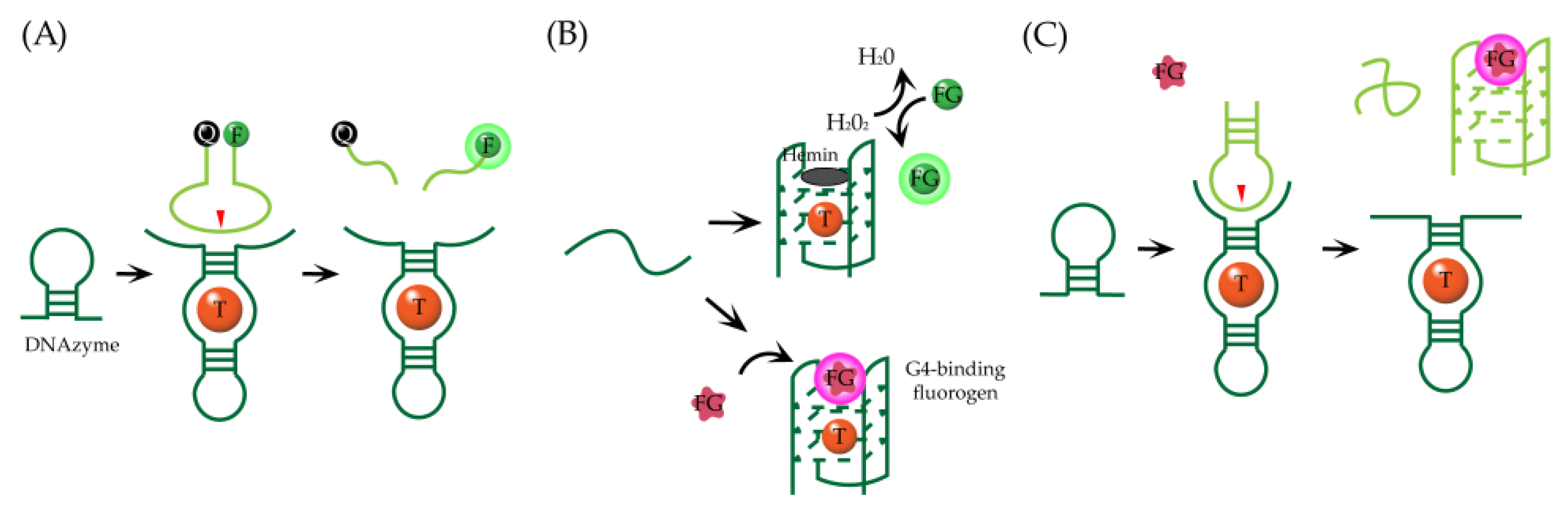 Chemosensors 09 00054 g002