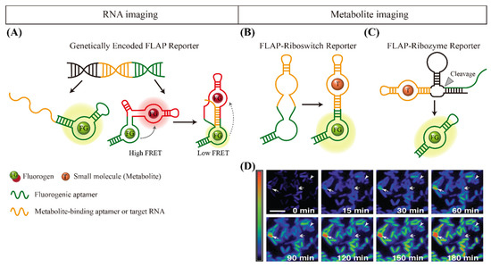 Chemosensors 09 00054 g003