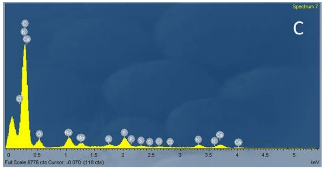 Chemosensors 09 00057 g003b