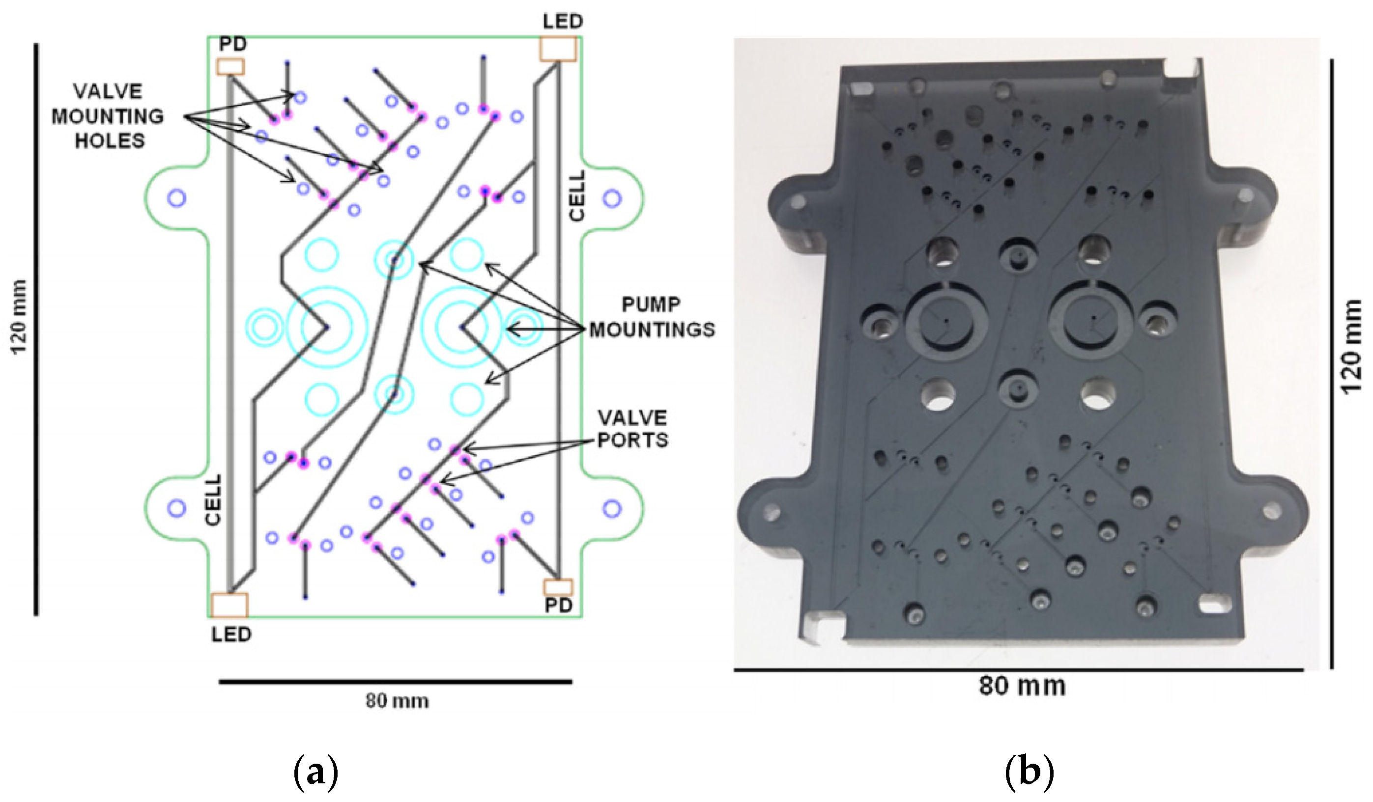 Chemosensors 09 00060 g001