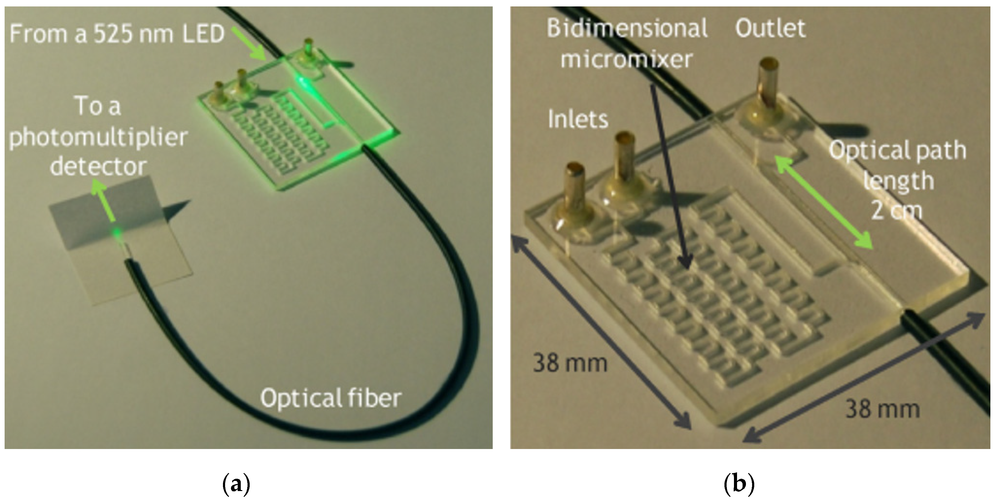 Chemosensors 09 00060 g004