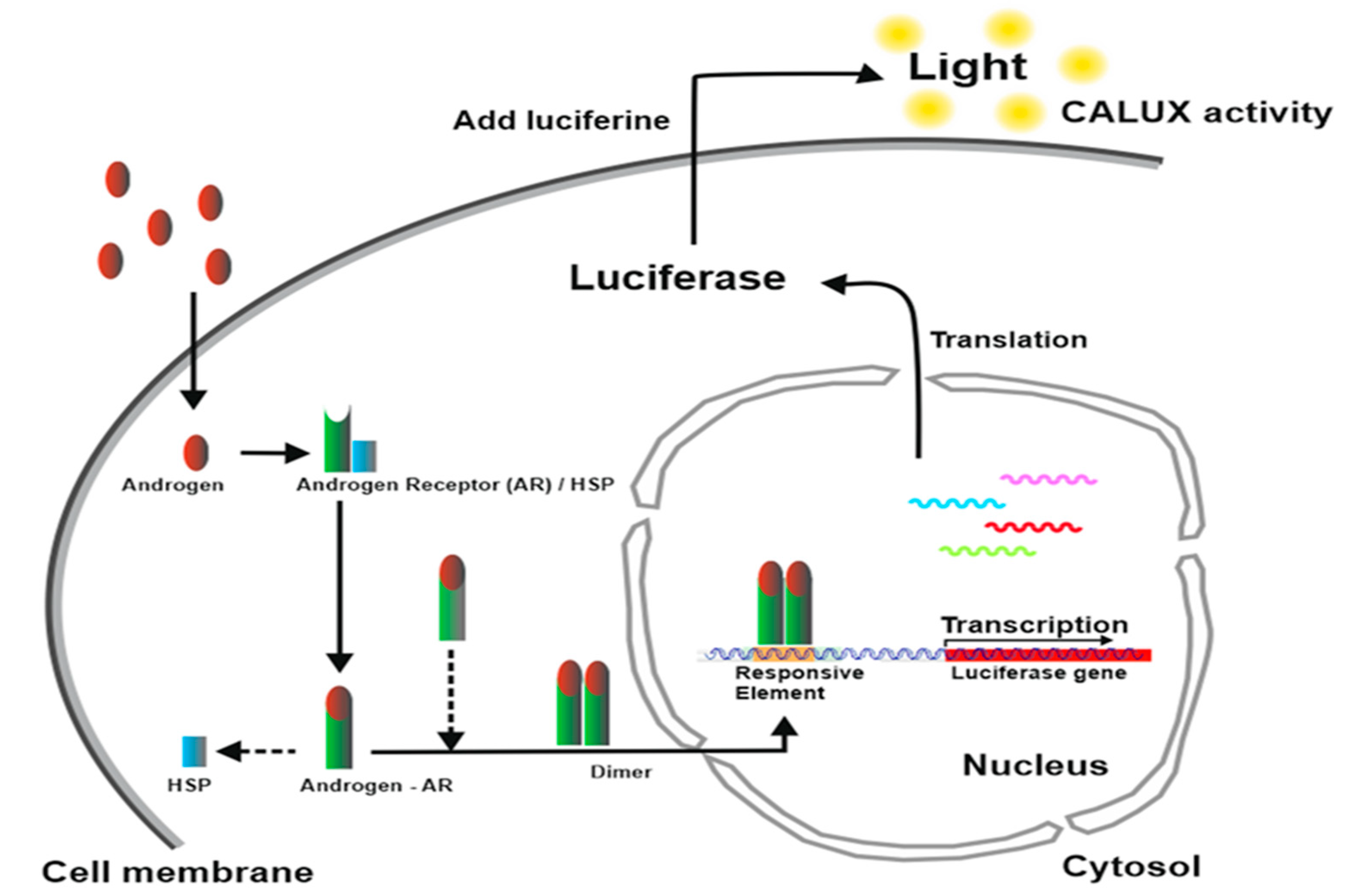 Chemosensors 09 00062 g001