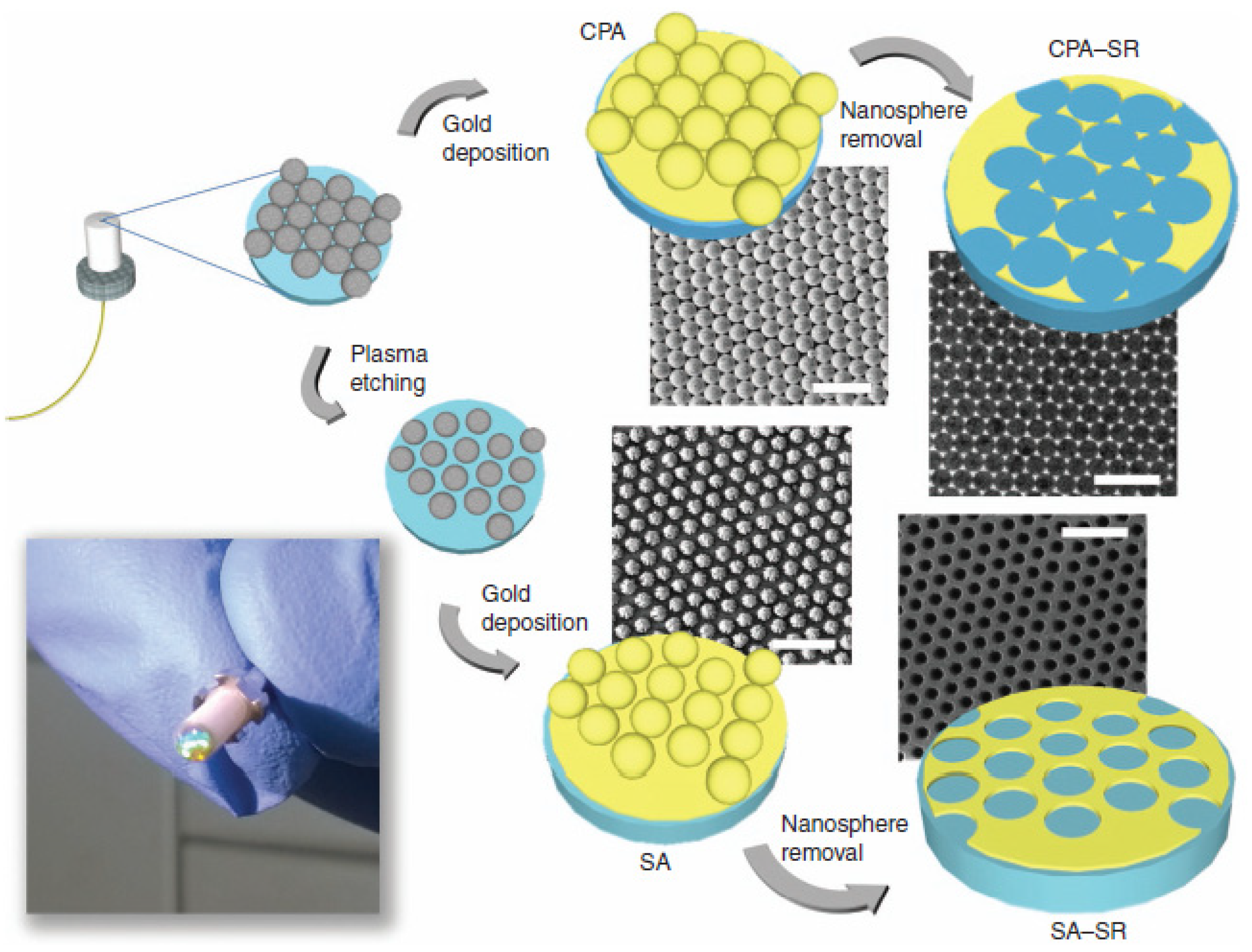 Chemosensors 09 00064 g021