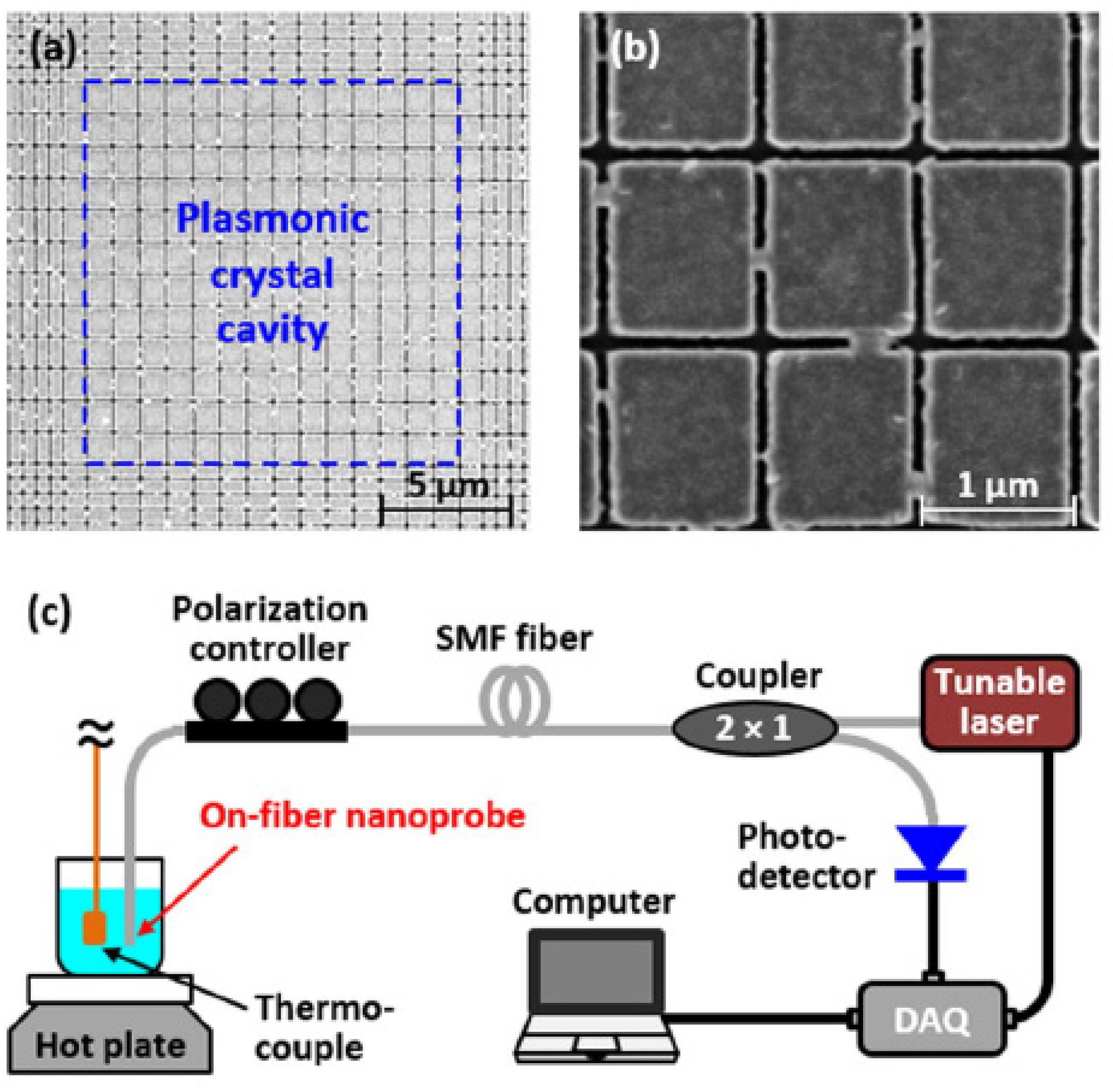 Chemosensors 09 00064 g031