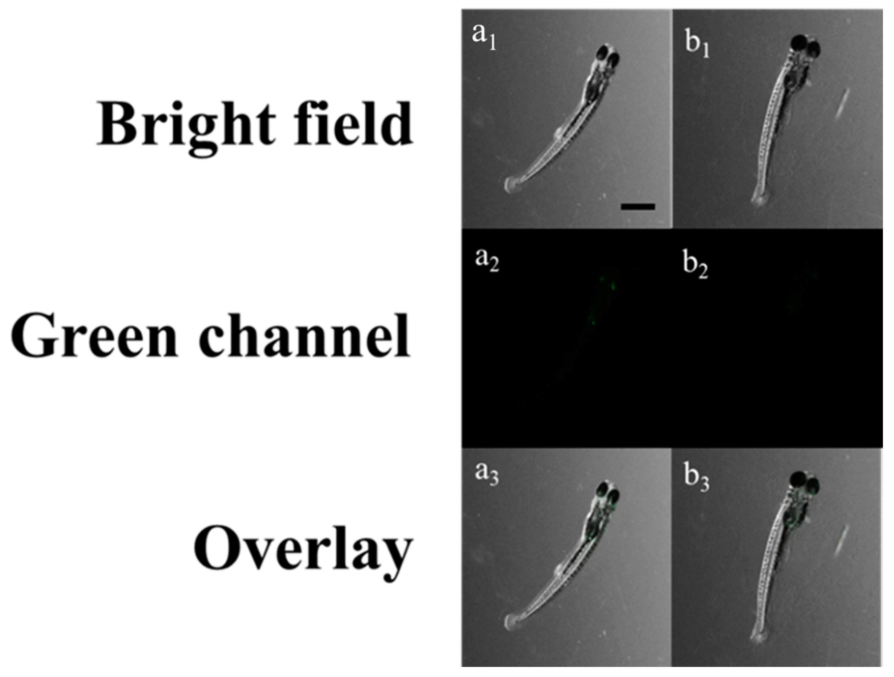 Chemosensors 09 00065 g007