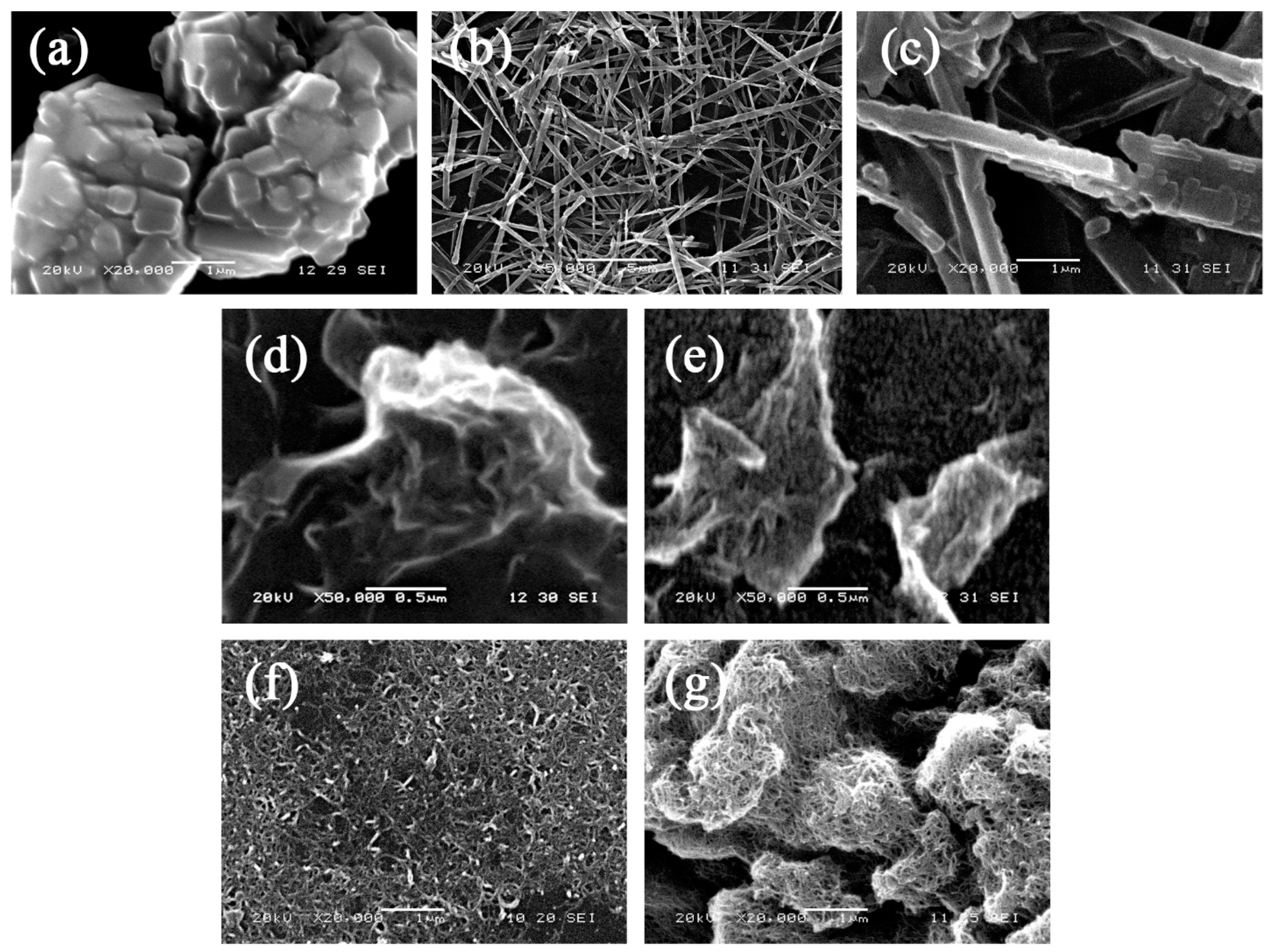 Chemosensors 09 00066 g003