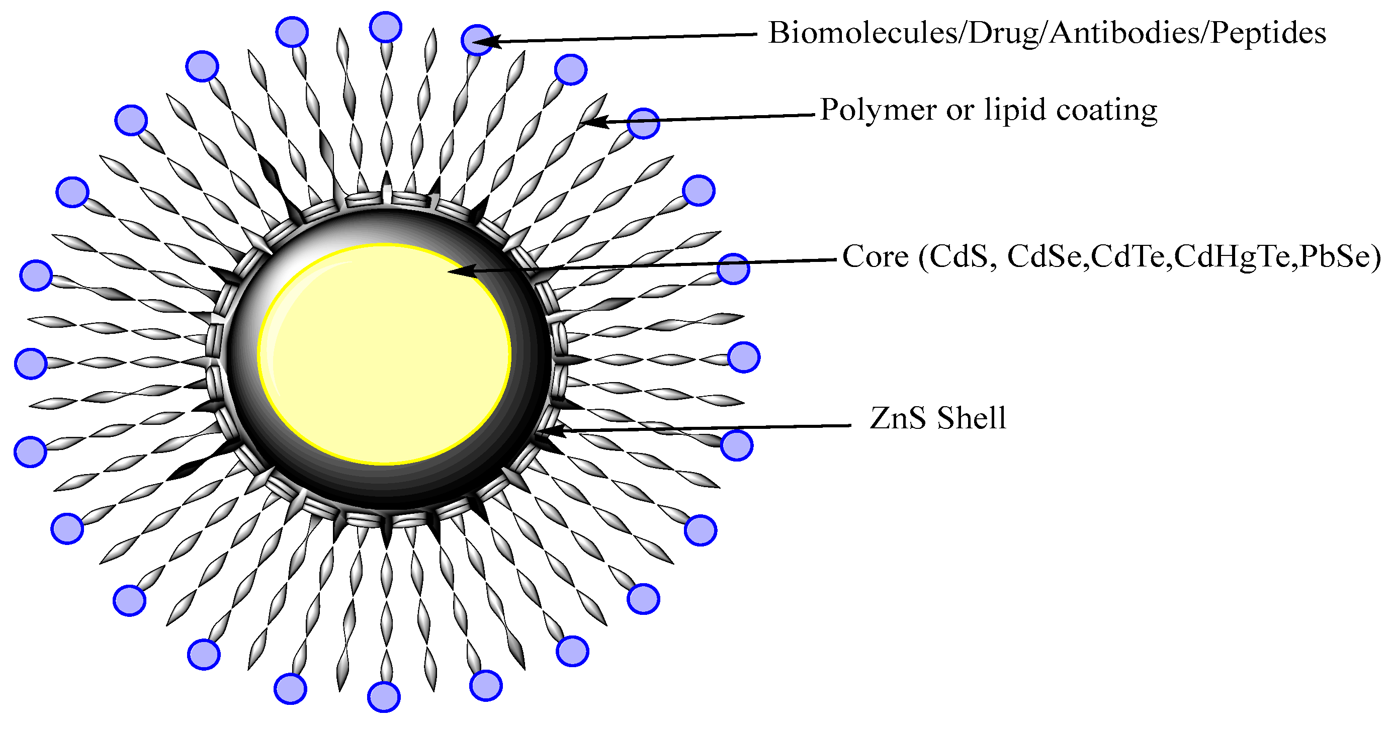 Chemosensors 09 00067 g008