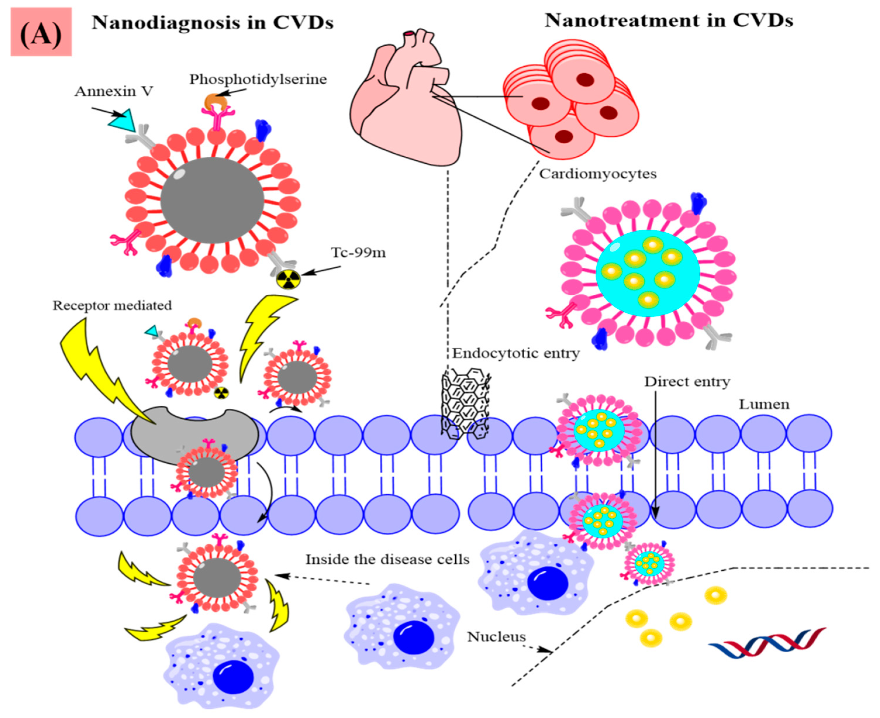 Chemosensors 09 00067 g009a