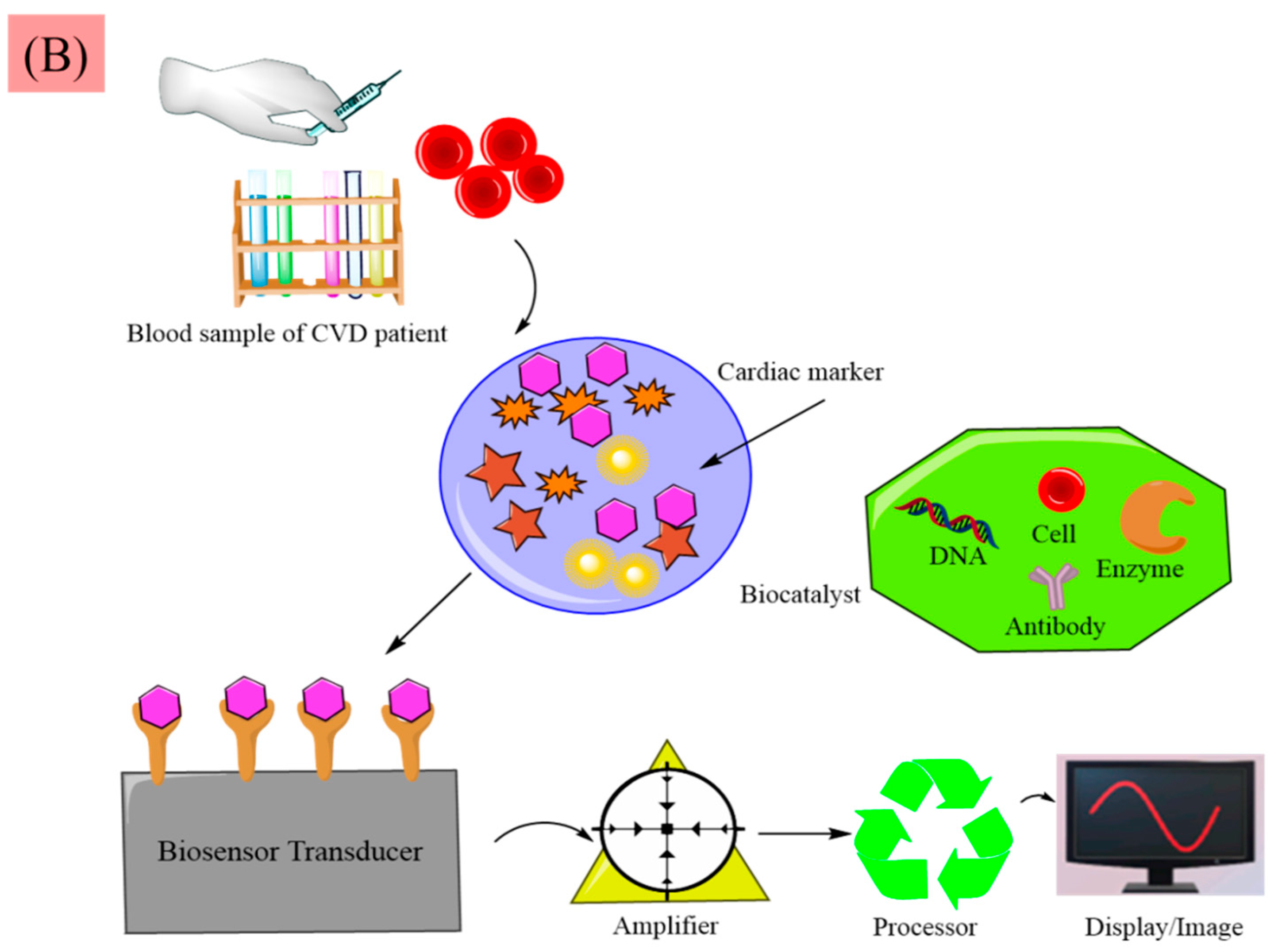 Chemosensors 09 00067 g009b