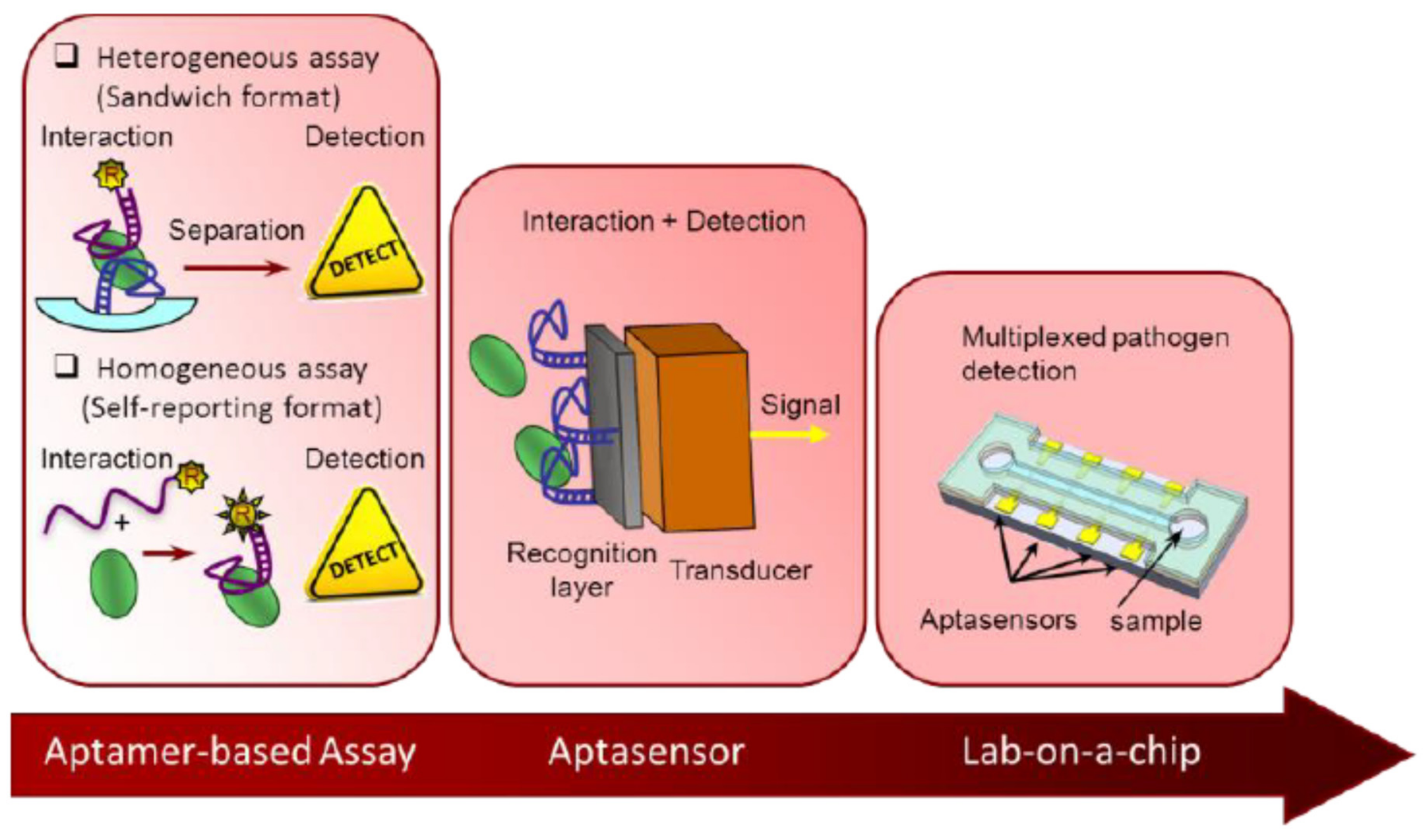 Chemosensors 09 00069 g001 Chemosensors 09 00069 g001